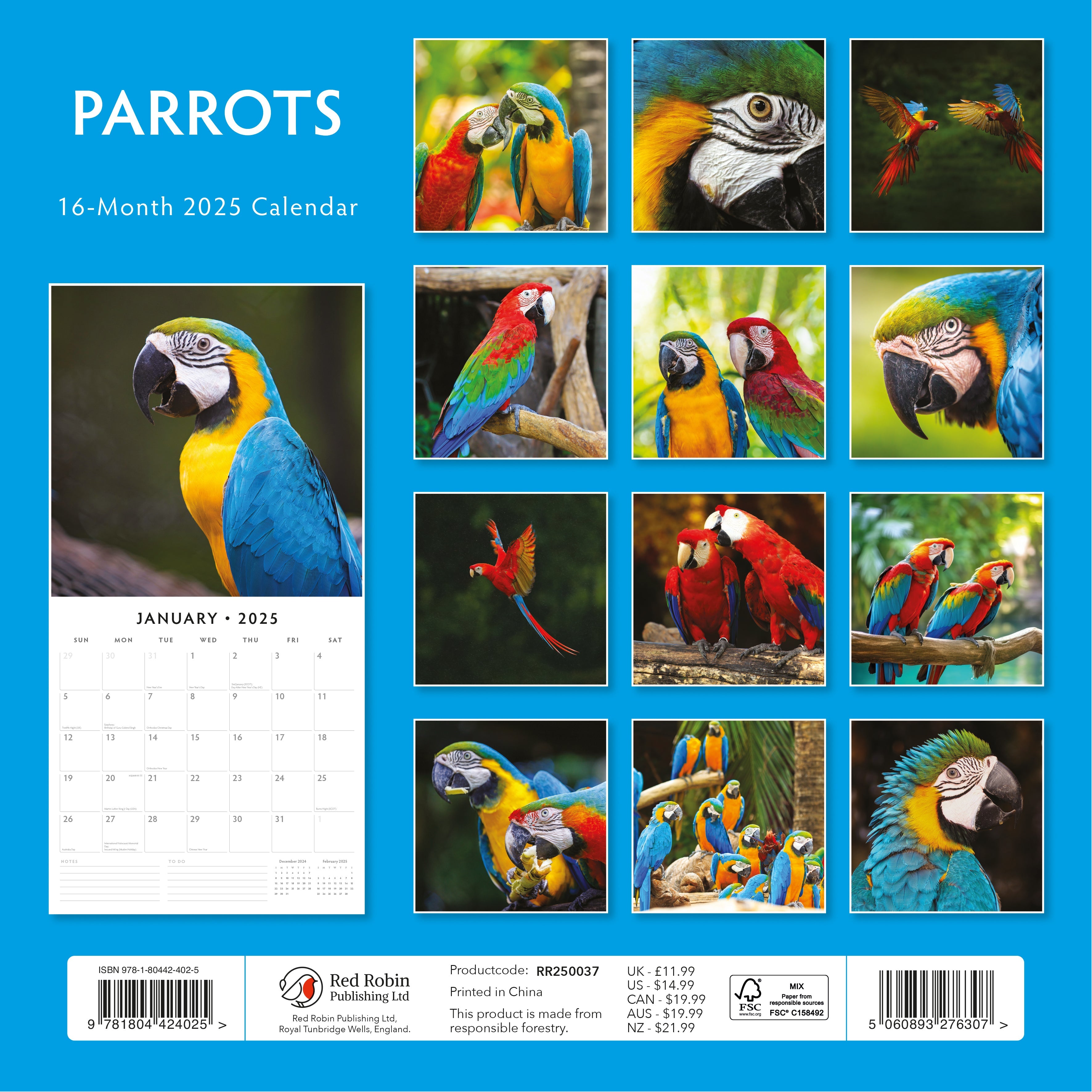 2025 Parrots - Square Wall Calendar