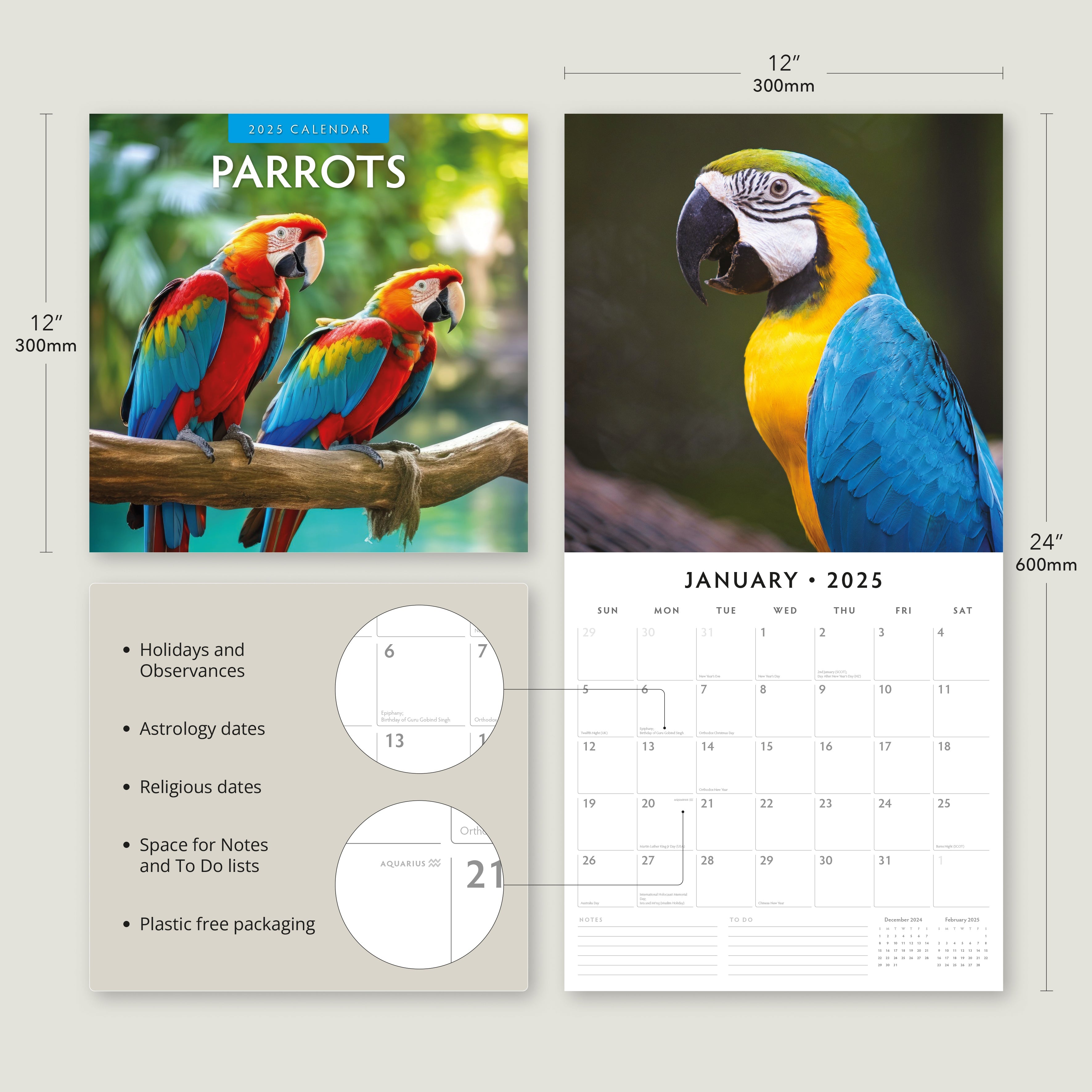 2025 Parrots - Square Wall Calendar