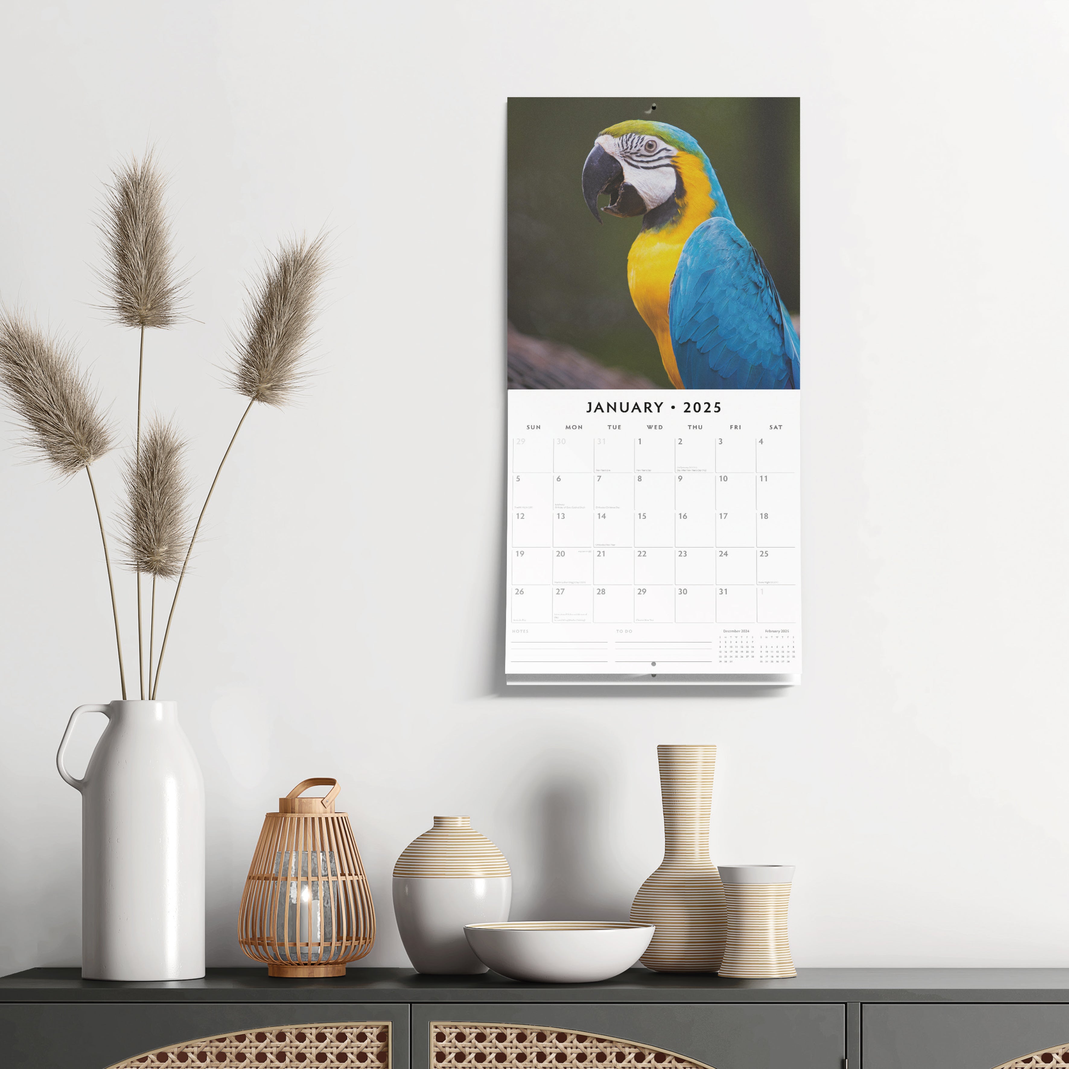 2025 Parrots - Square Wall Calendar