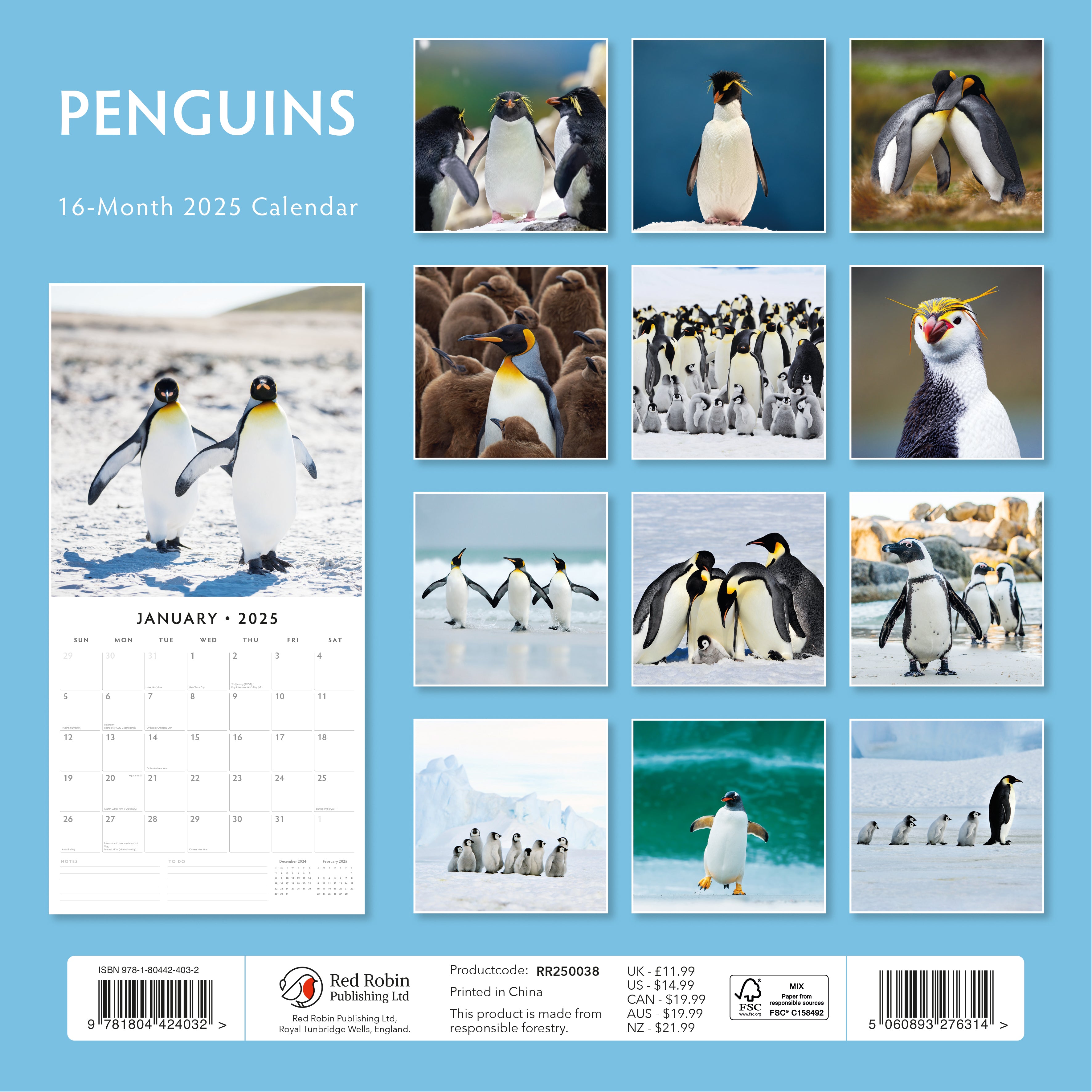 2025 Penguins - Square Wall Calendar