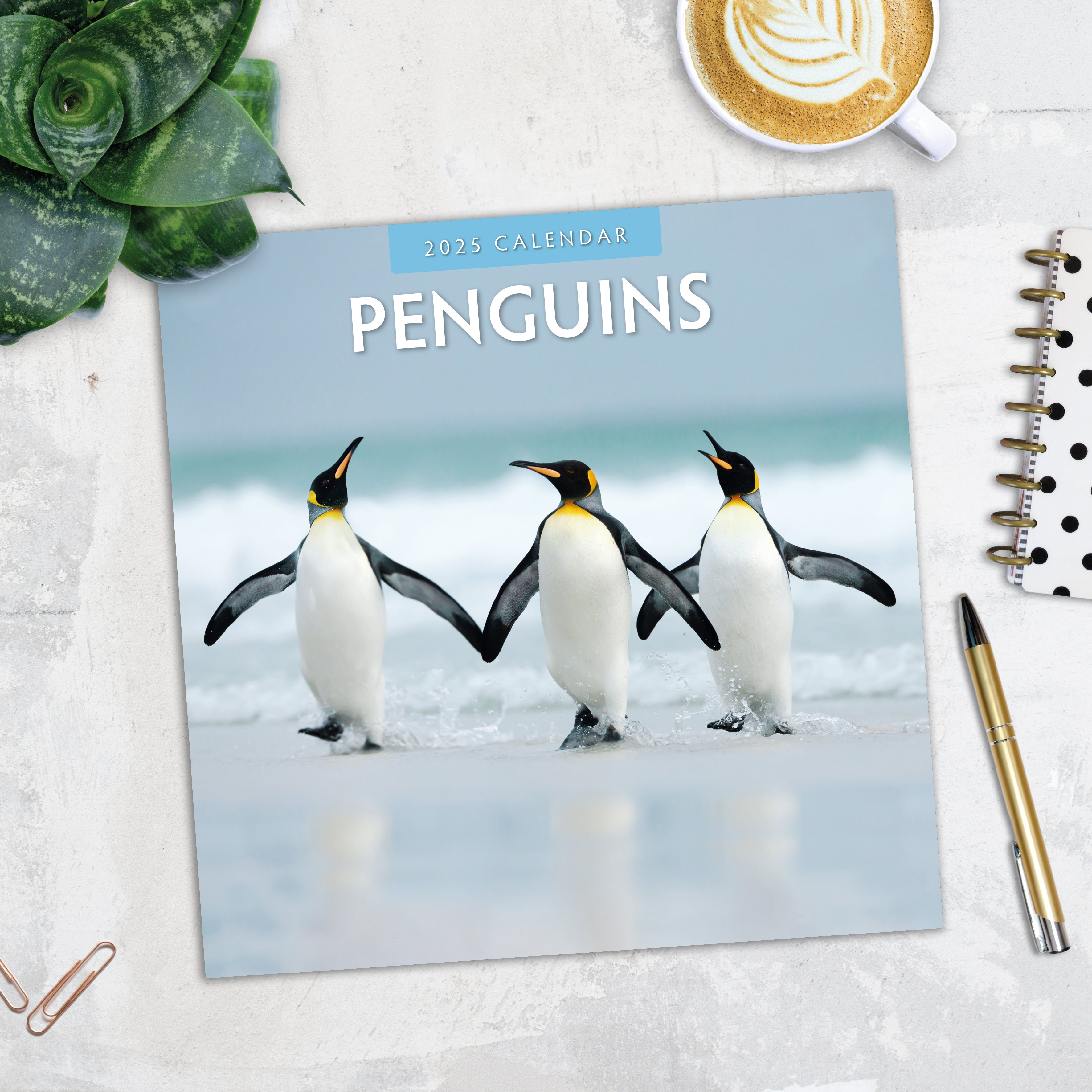 2025 Penguins - Square Wall Calendar