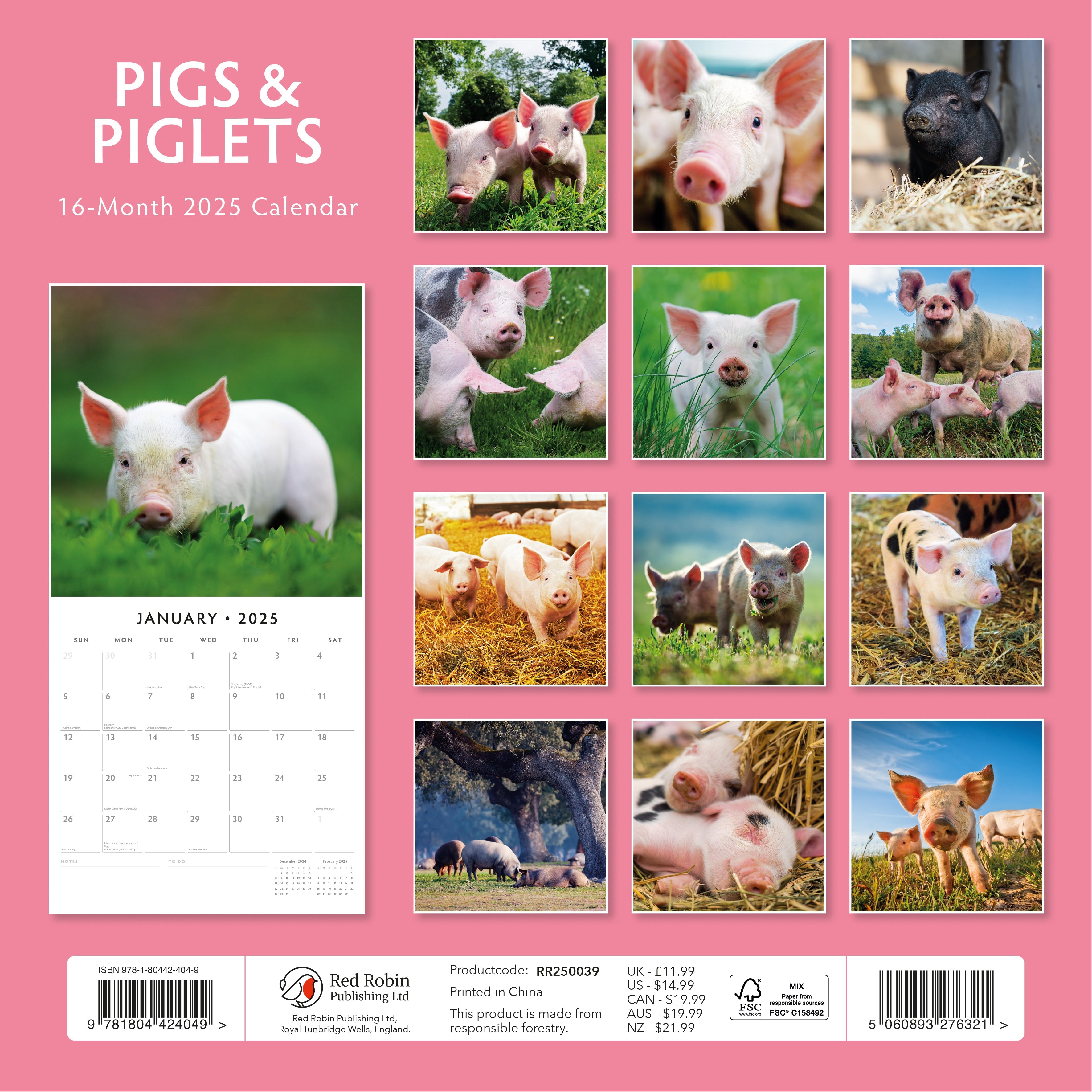 2025 Pigs & Piglets - Square Wall Calendar