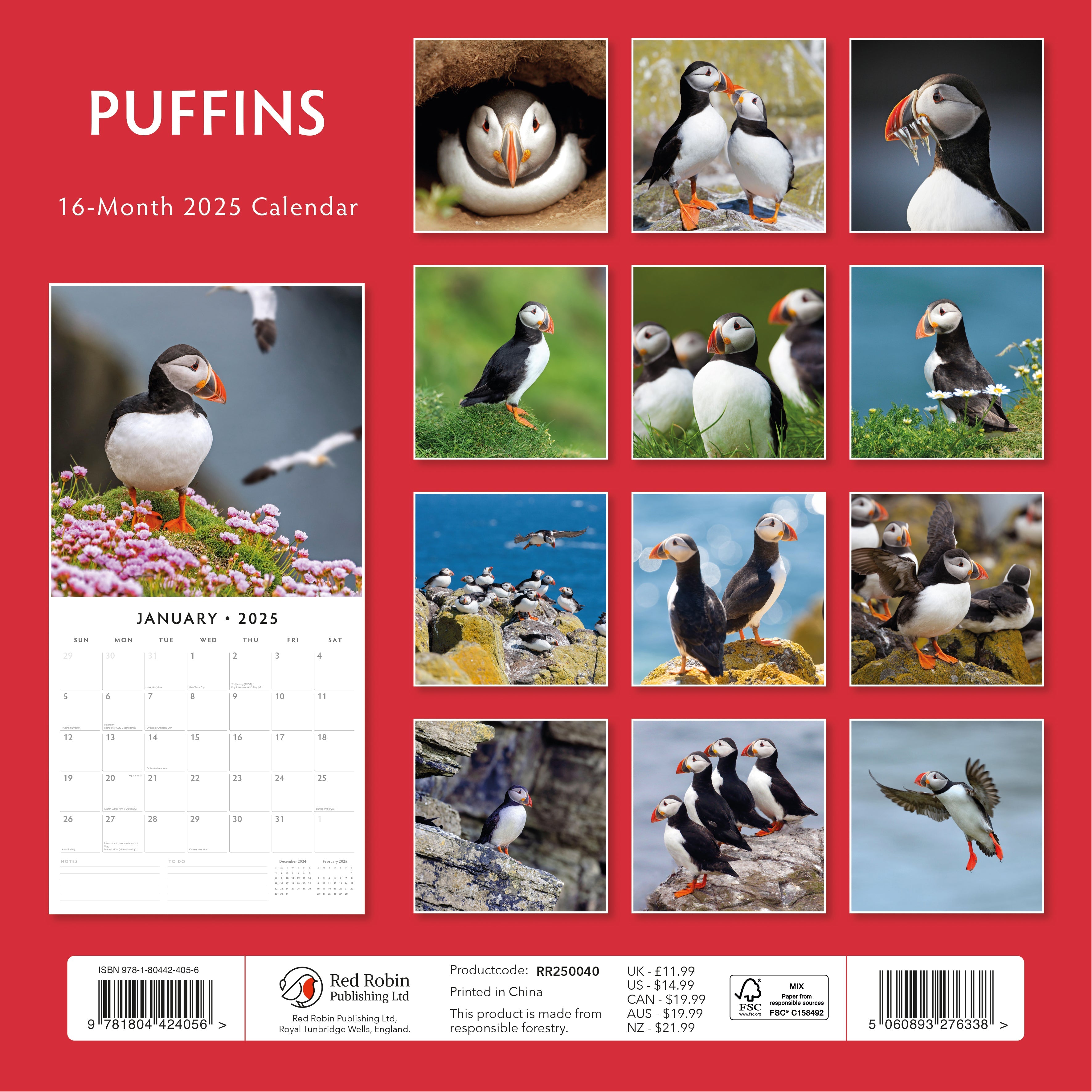 2025 Puffins - Square Wall Calendar