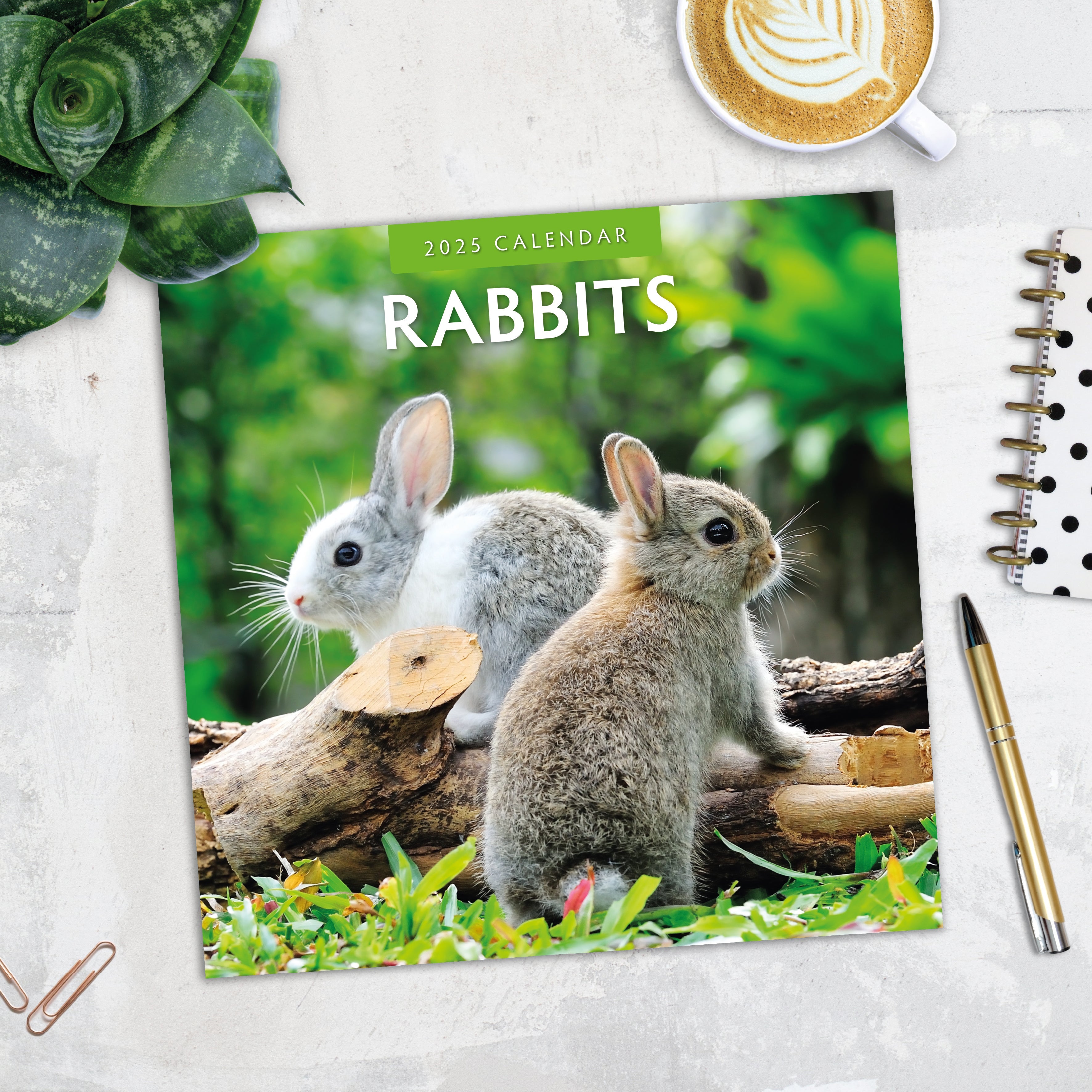 2025 Rabbits - Square Wall Calendar