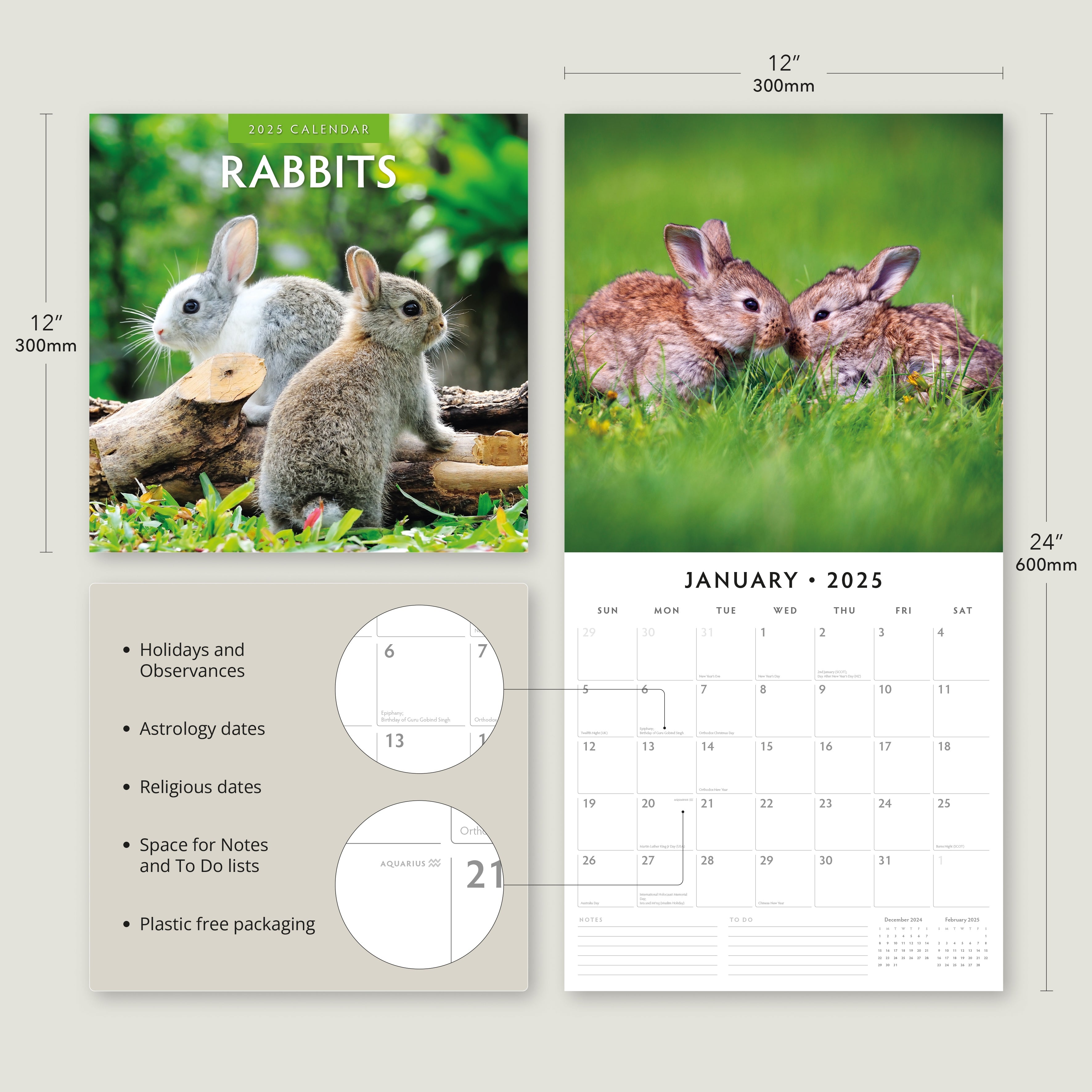 2025 Rabbits - Square Wall Calendar