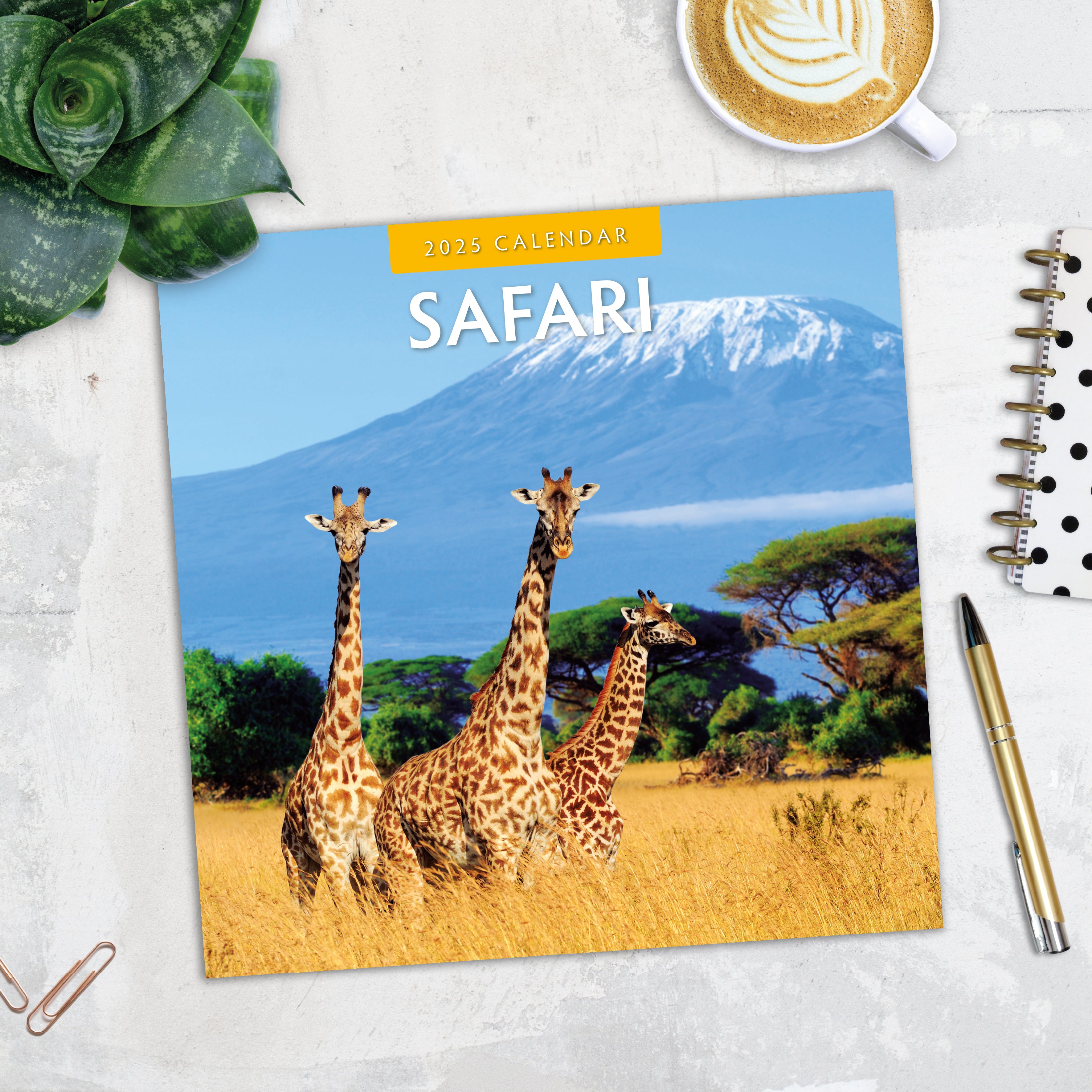 2025 Safari - Square Wall Calendar