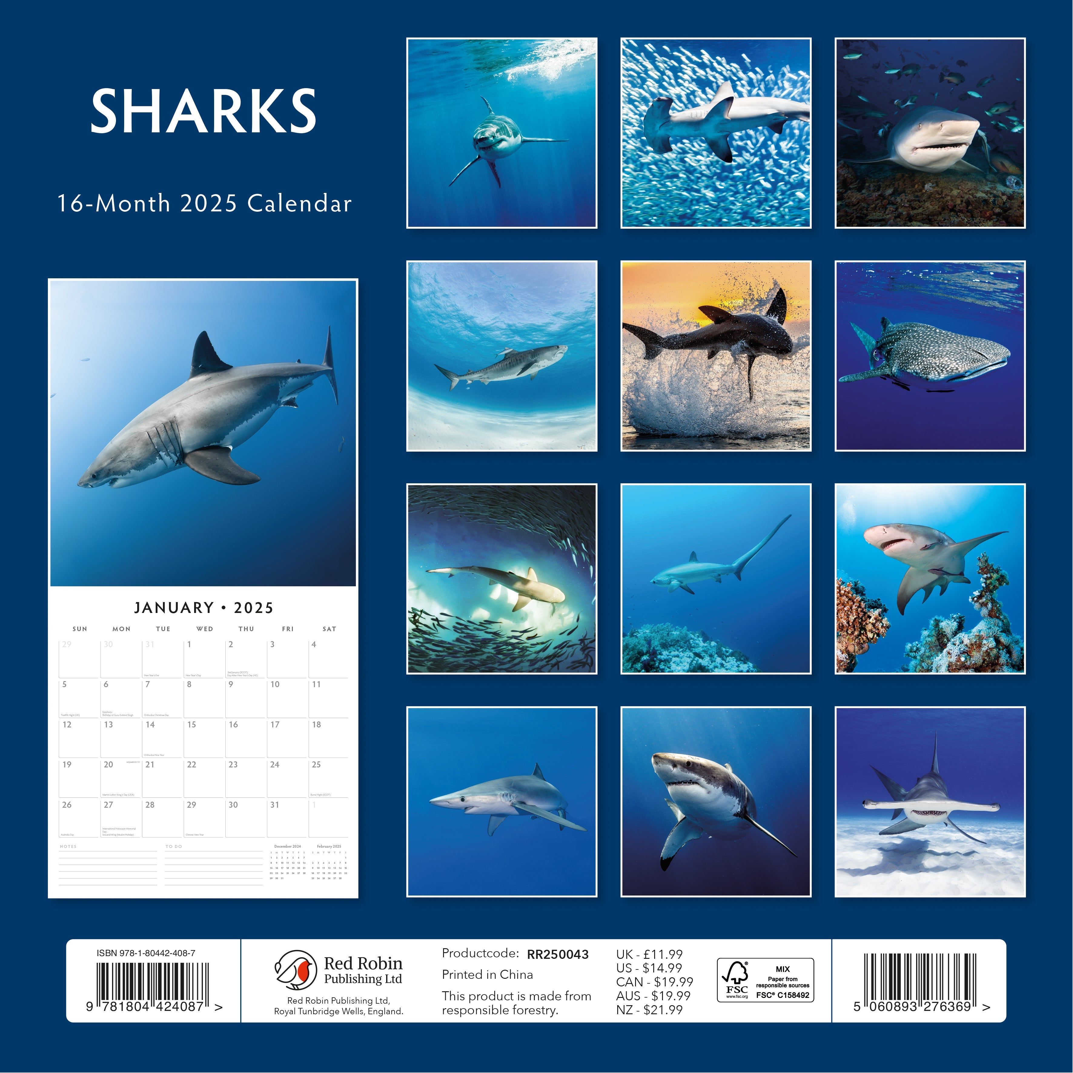 2025 Sharks - Square Wall Calendar