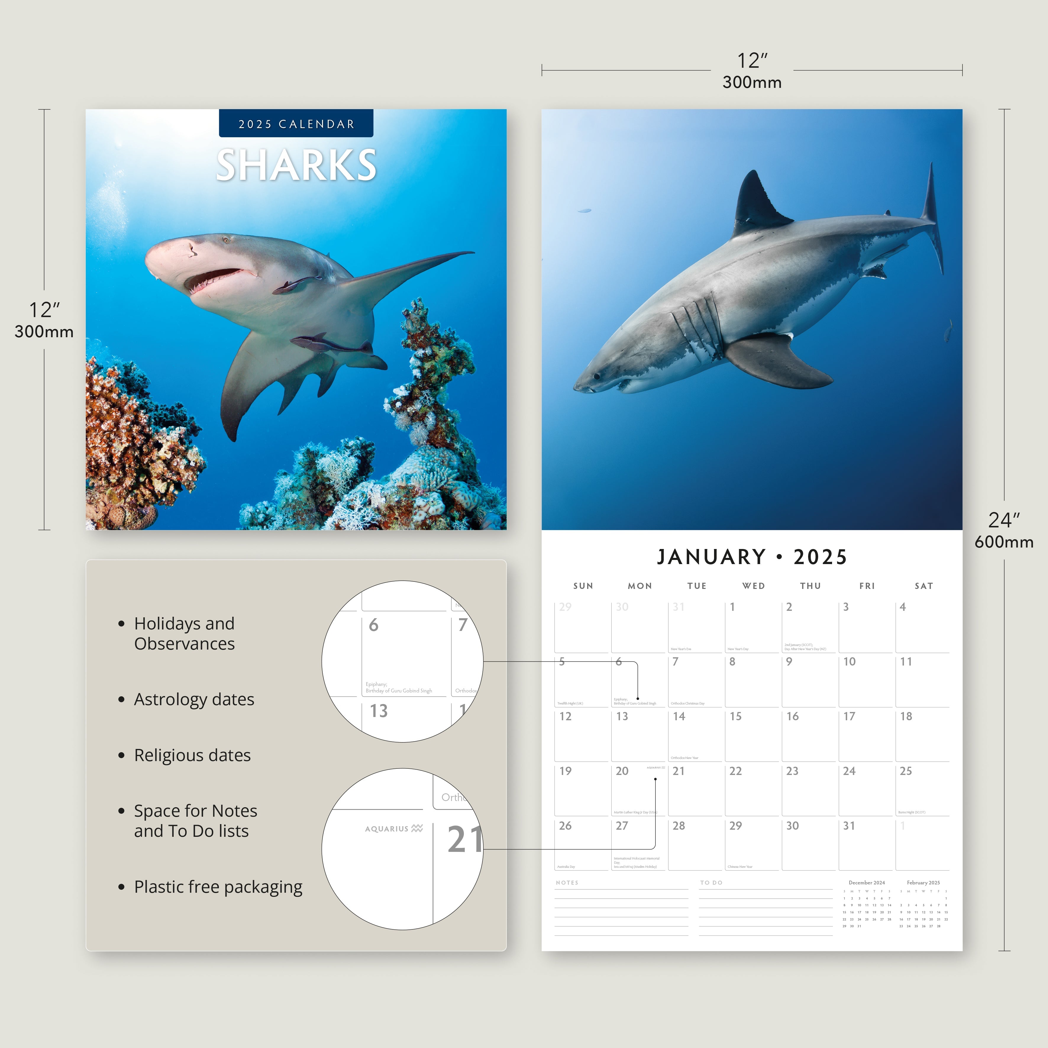 2025 Sharks - Square Wall Calendar