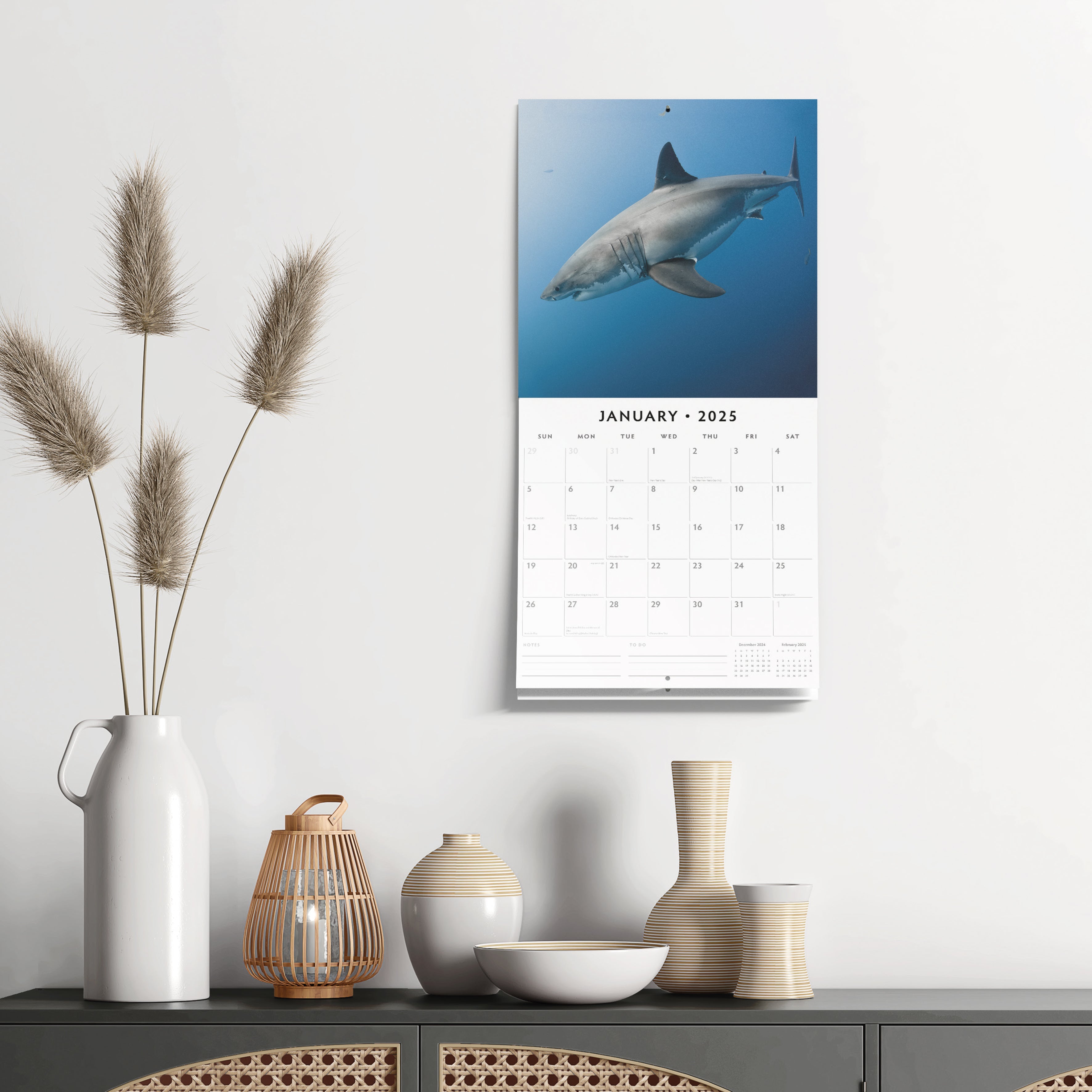 2025 Sharks - Square Wall Calendar