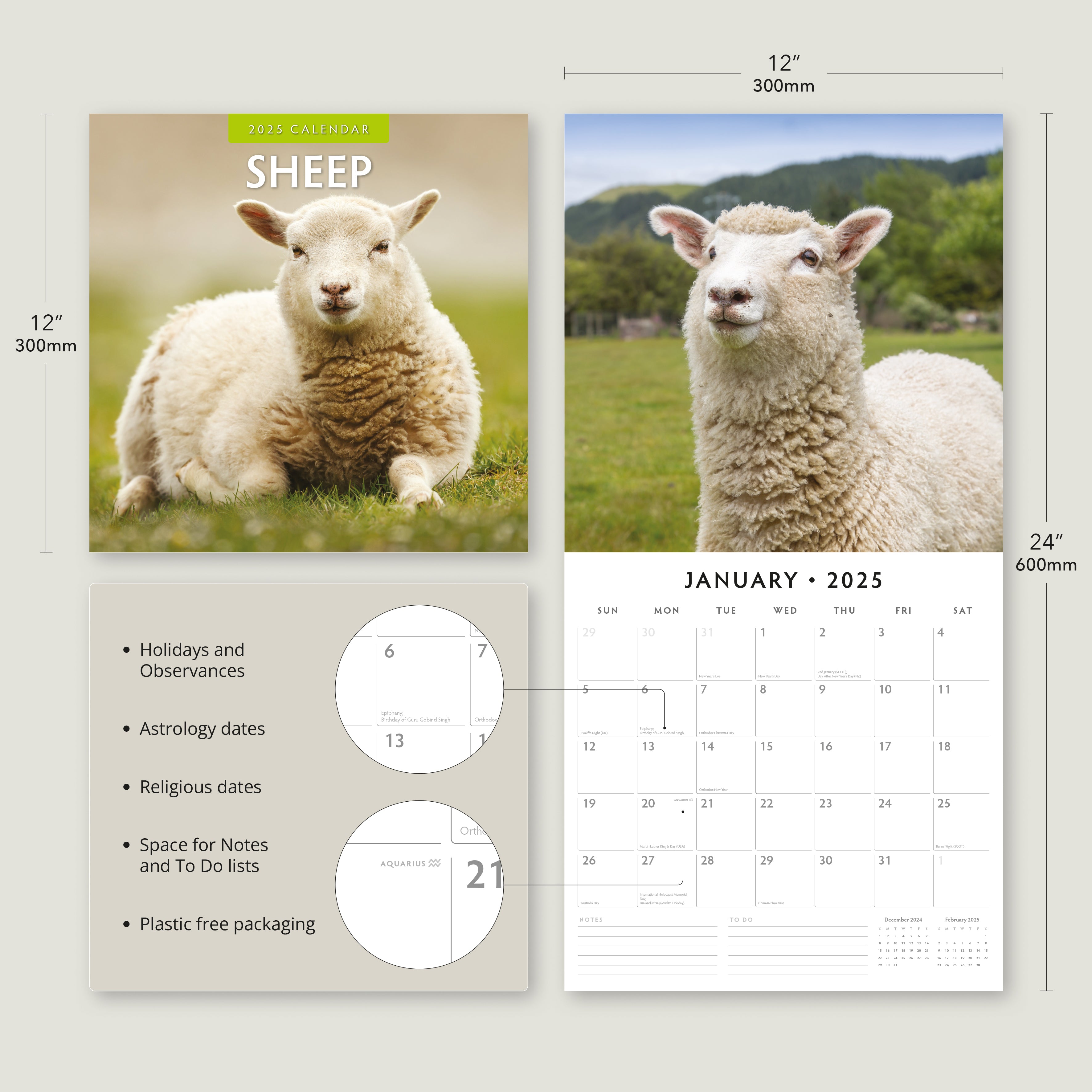 2025 Sheep - Square Wall Calendar