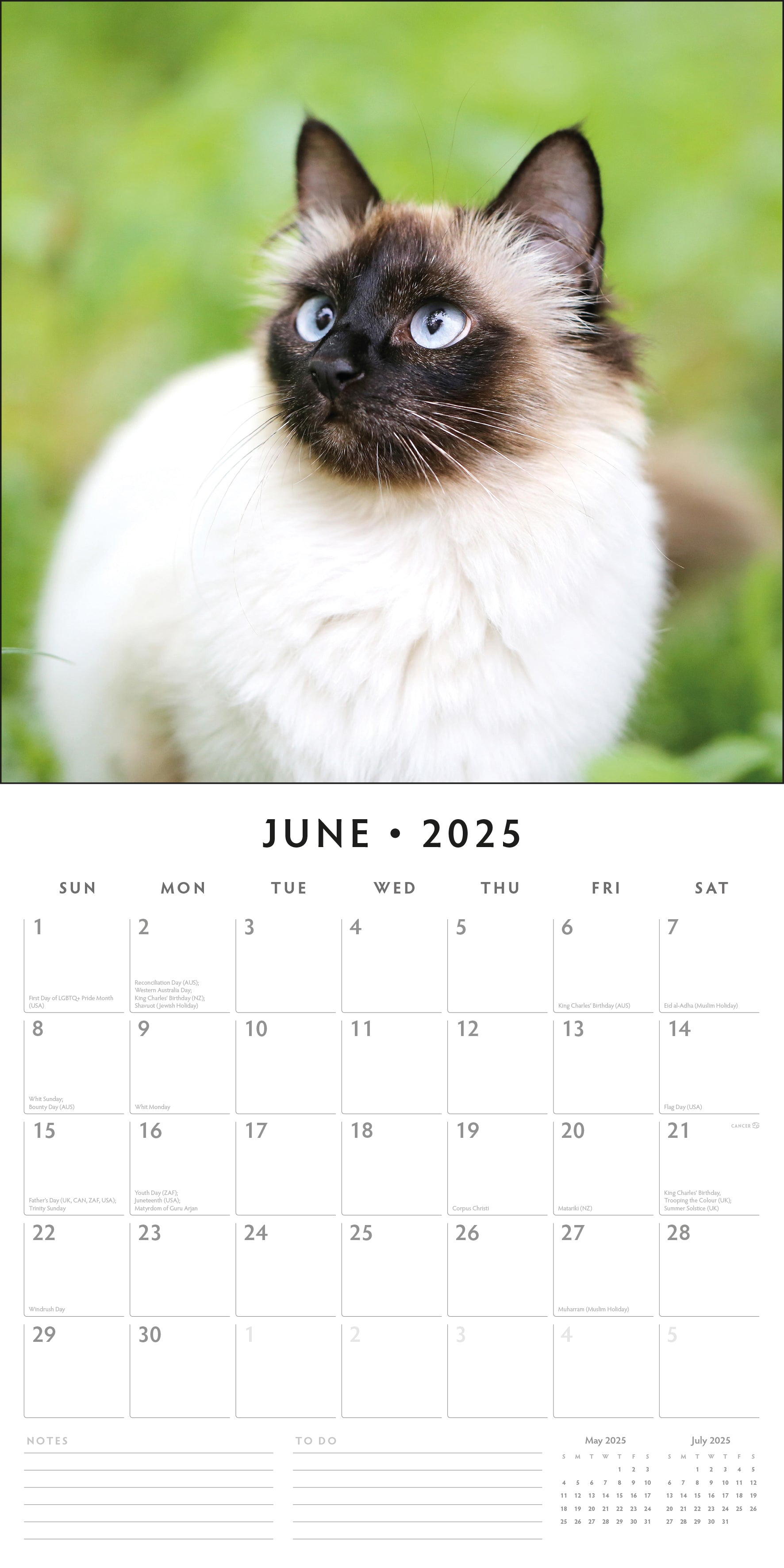 2025 Siamese Cats - Square Wall Calendar