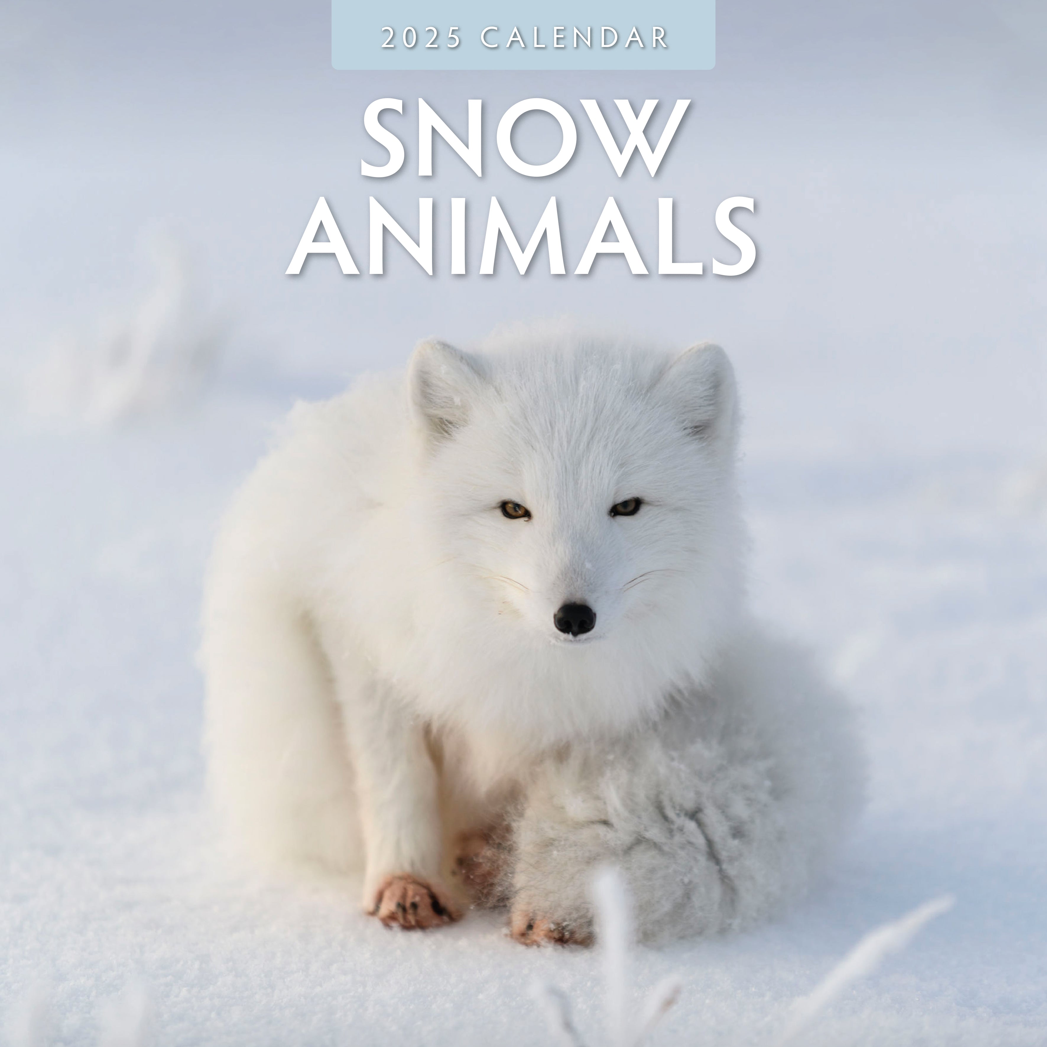 2025 Snow Animals - Square Wall Calendar