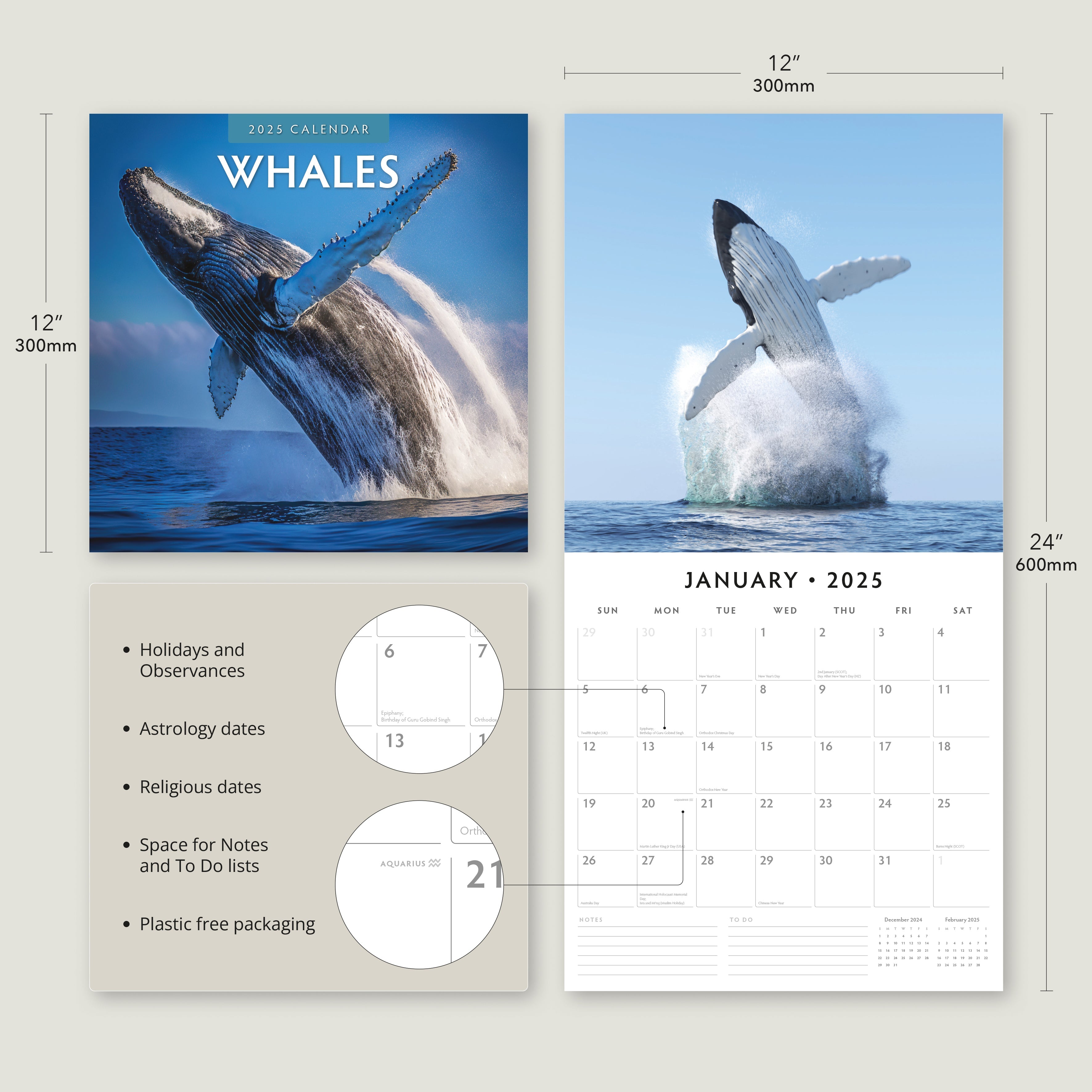 2025 Whales - Square Wall Calendar