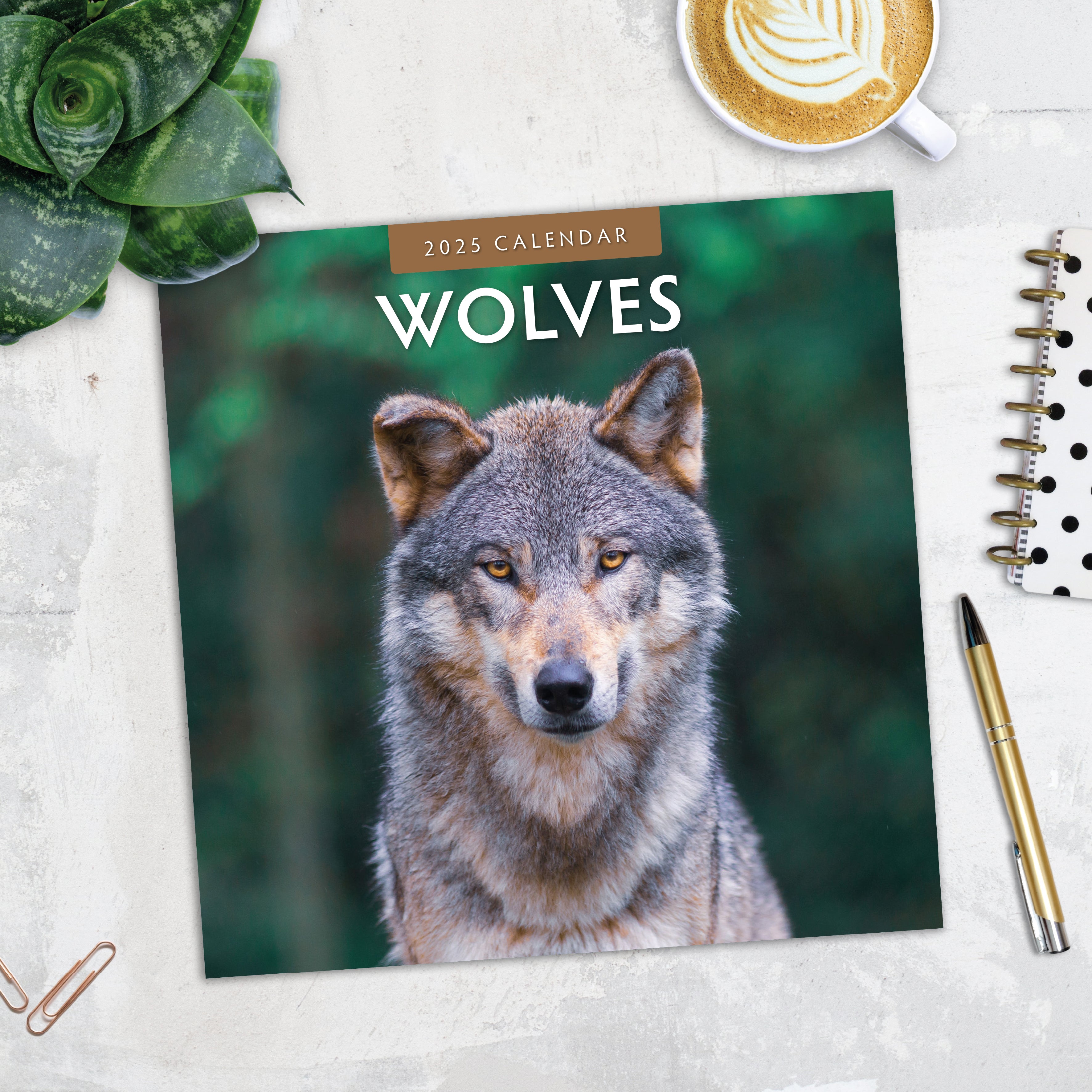 2025 Wolves - Square Wall Calendar