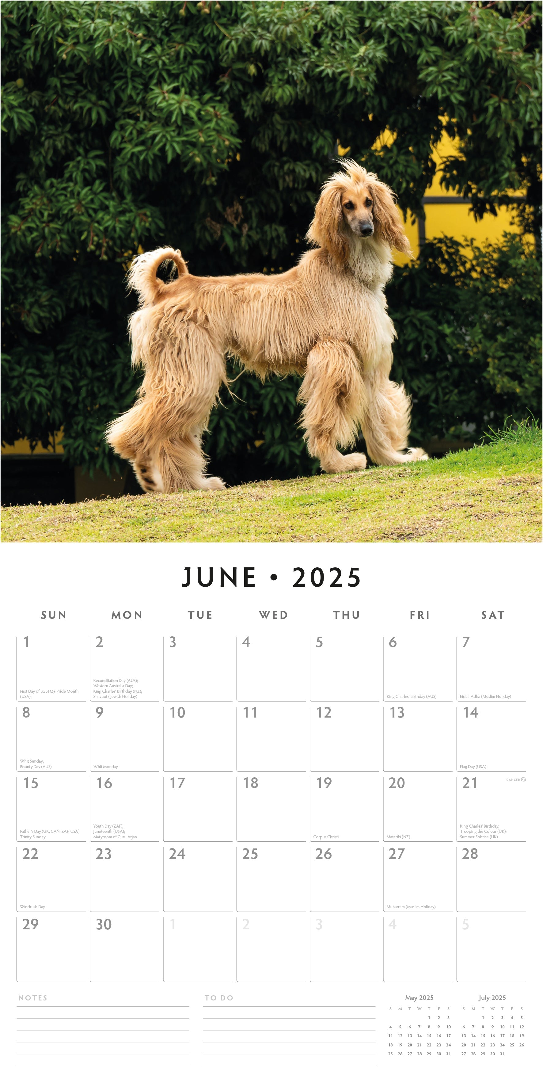 2025 Afghans - Square Wall Calendar