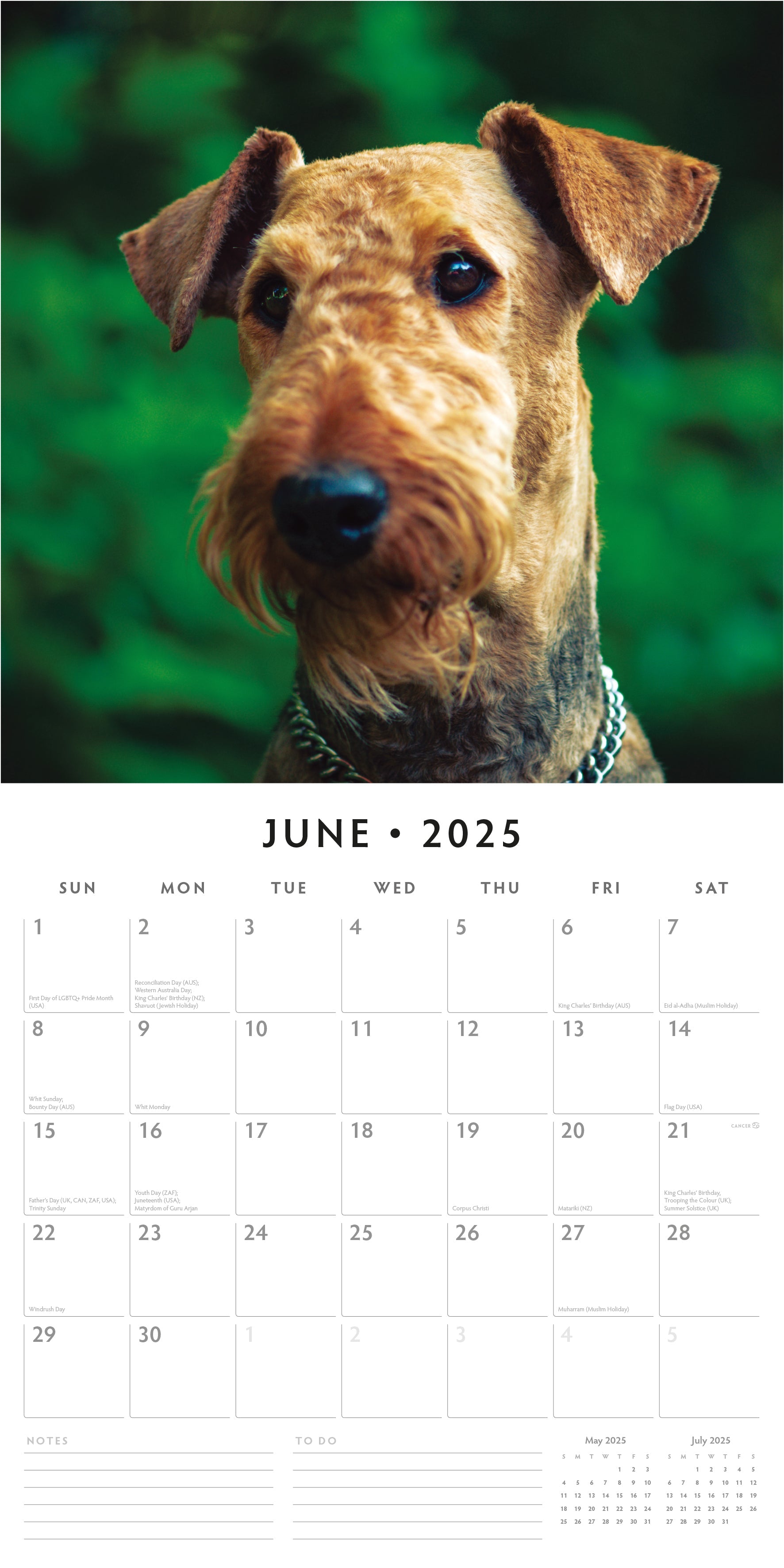 2025 Airedale Terriers - Square Wall Calendar