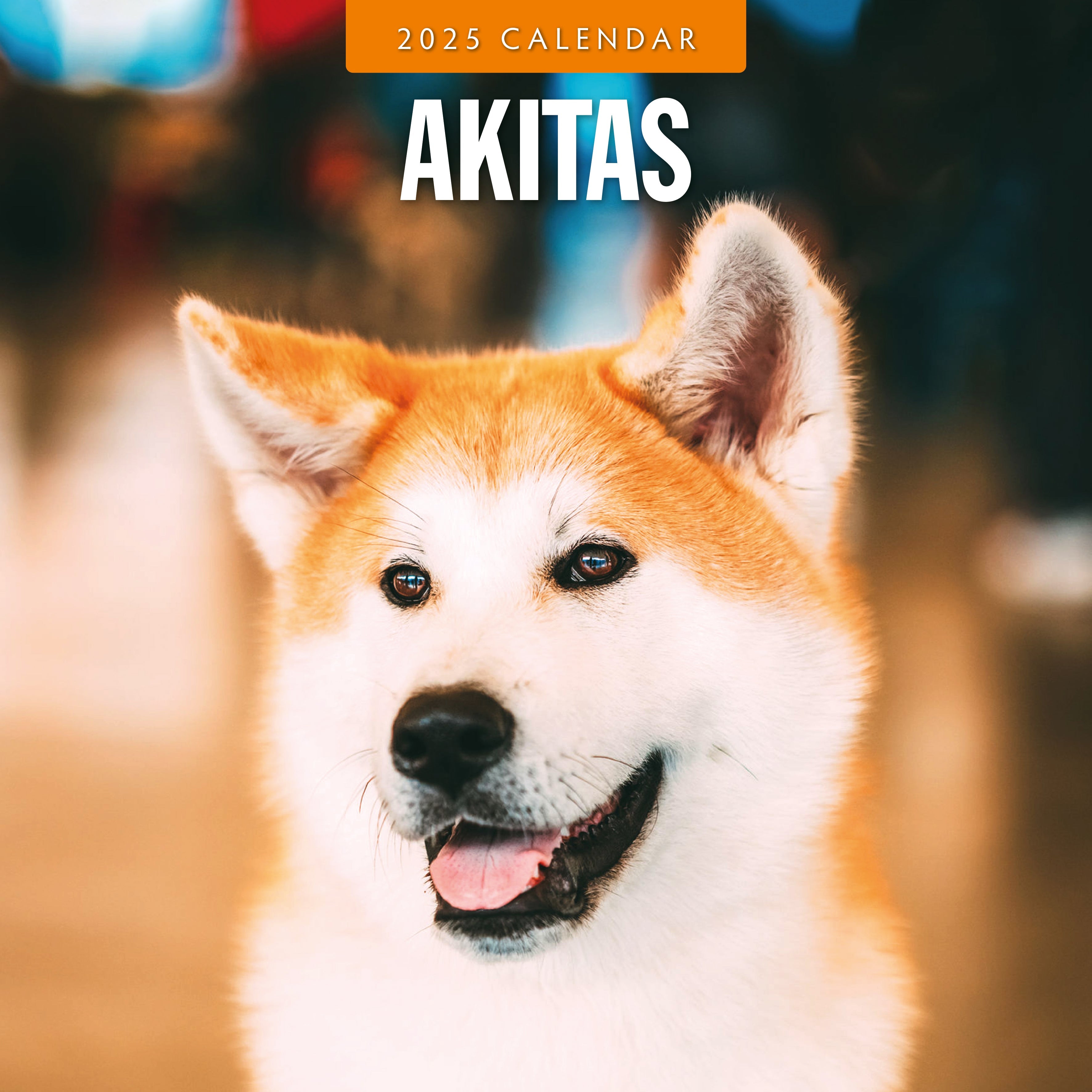 2025 Akitas - Square Wall Calendar