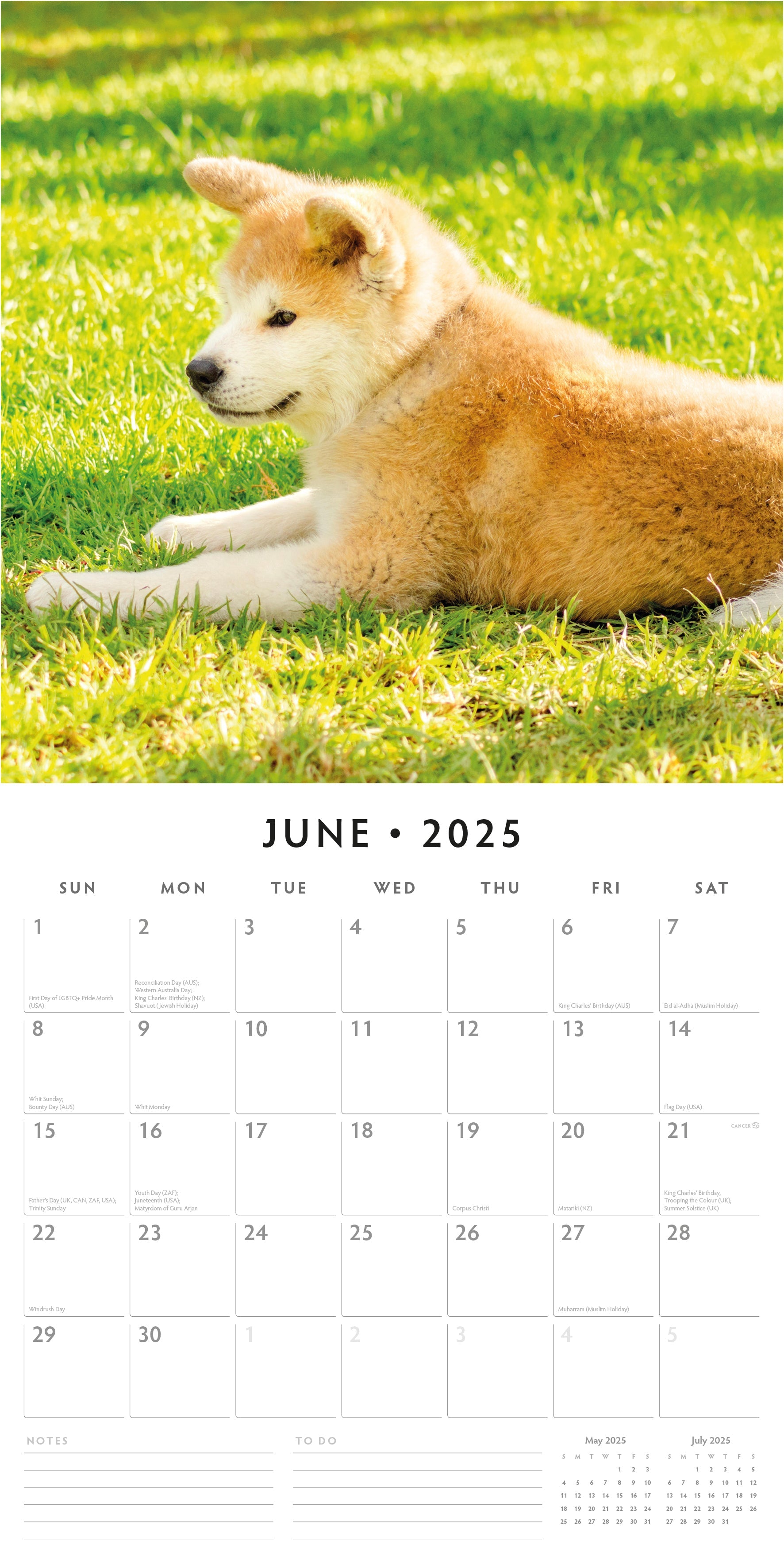 2025 Akitas - Square Wall Calendar