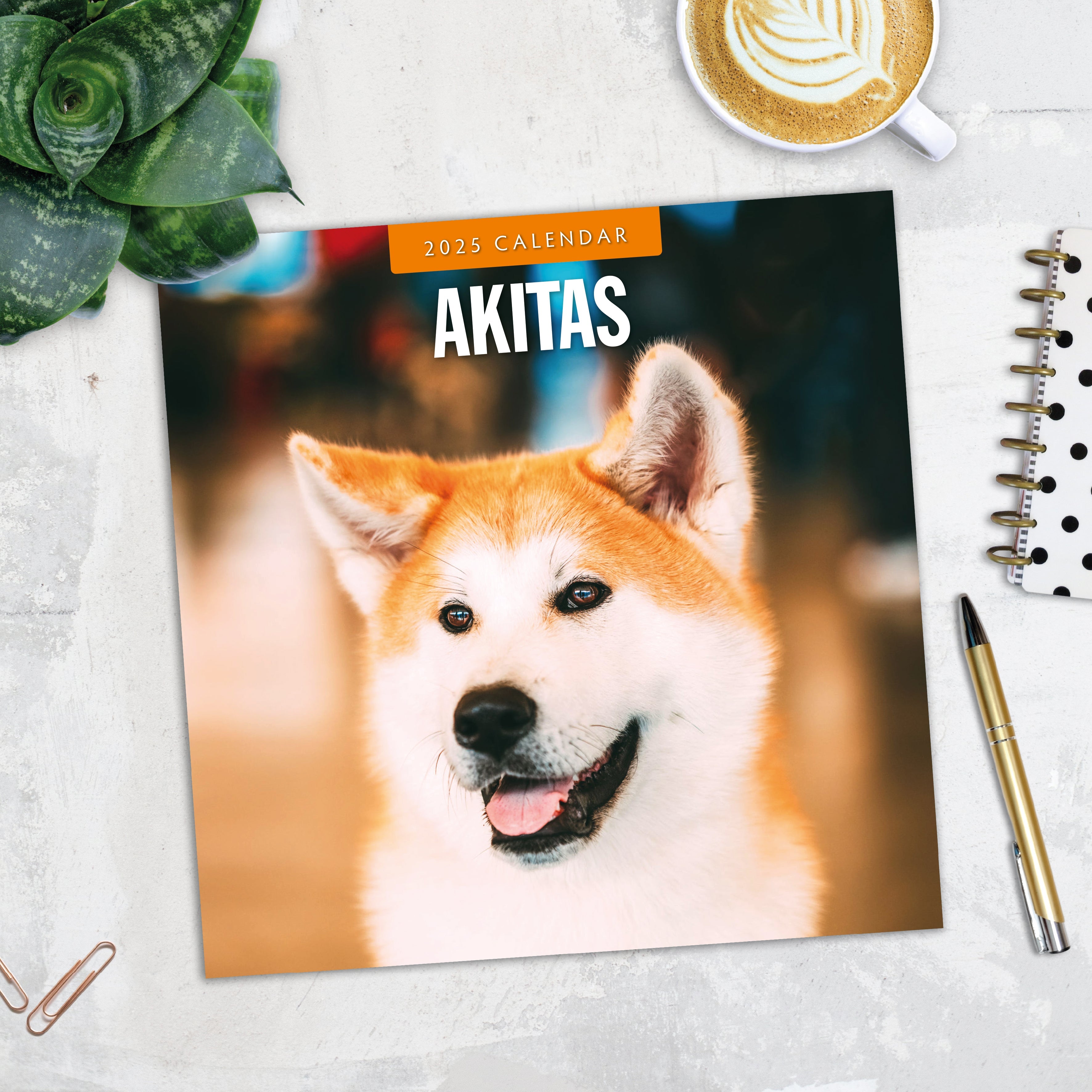 2025 Akitas - Square Wall Calendar