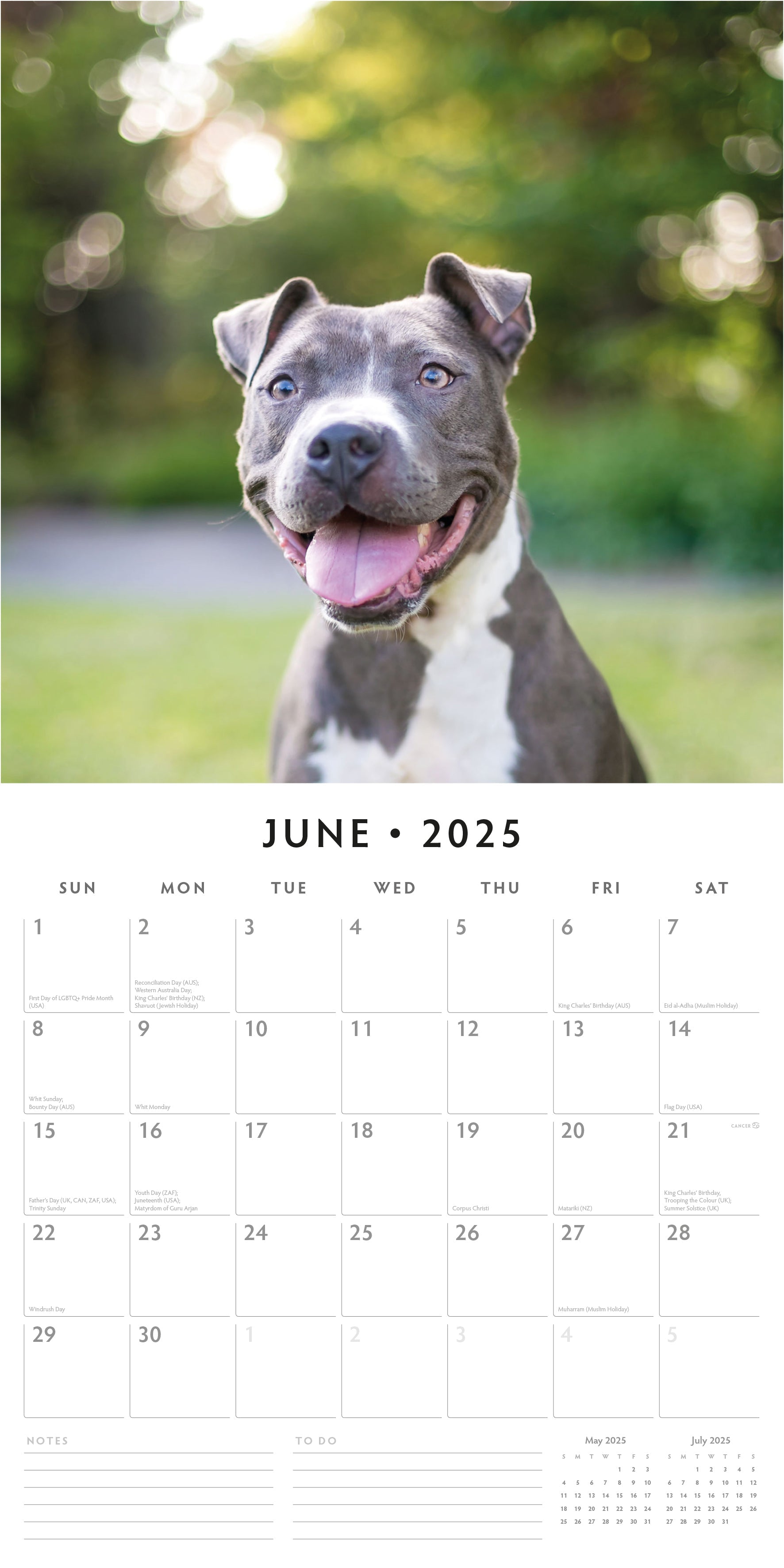 2025 Pit Bull Calendar