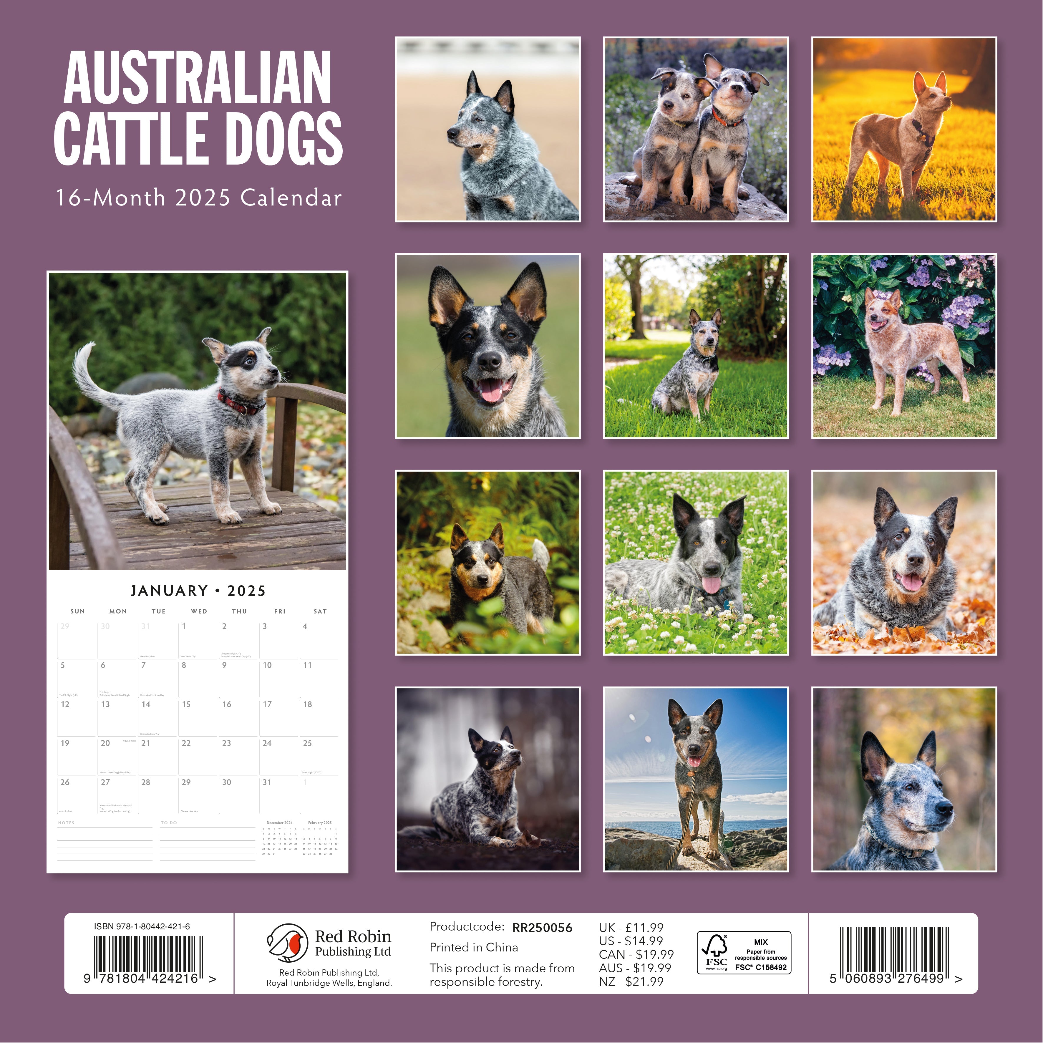 2025 Australian Cattle Dogs - Square Wall Calendar