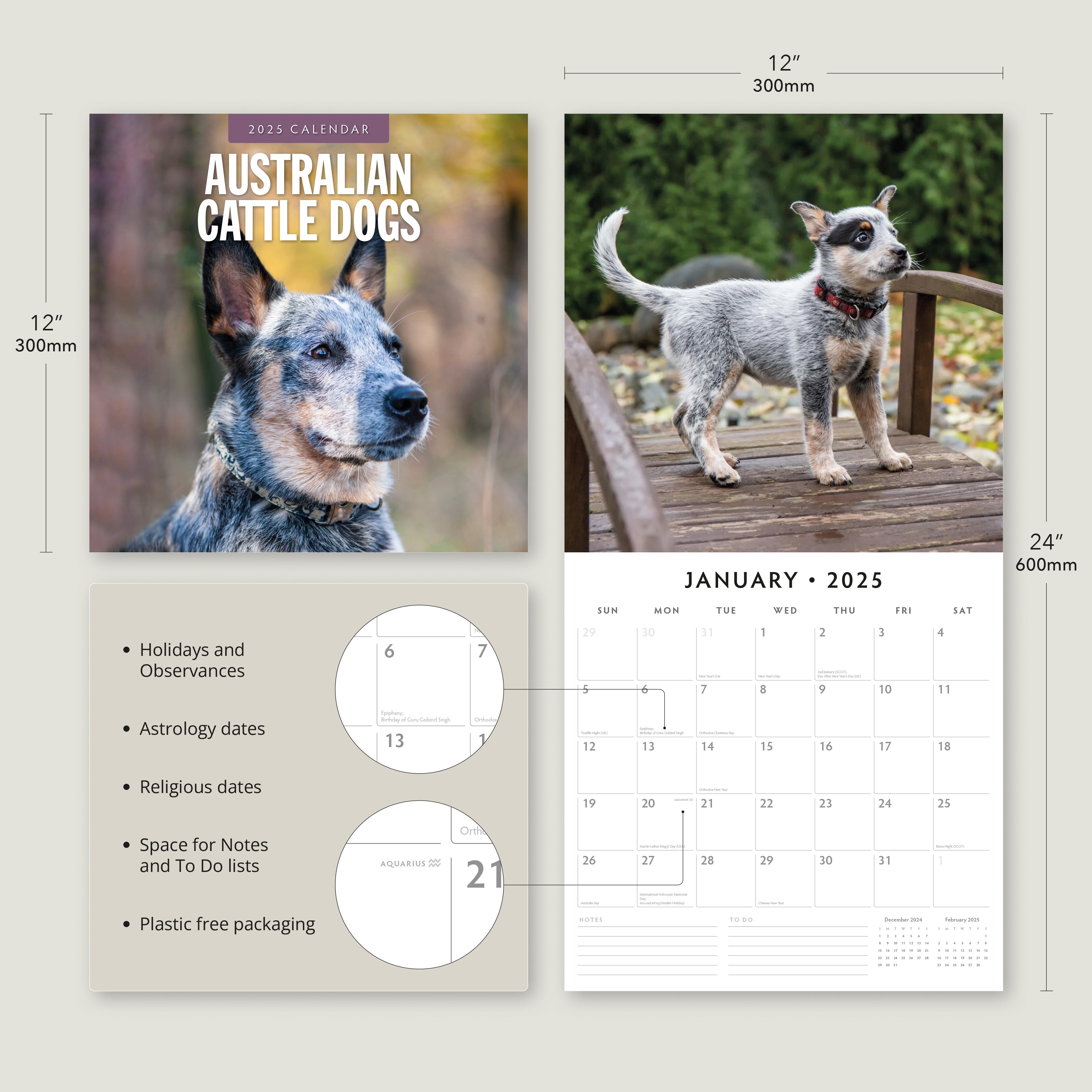 2025 Australian Cattle Dogs - Square Wall Calendar