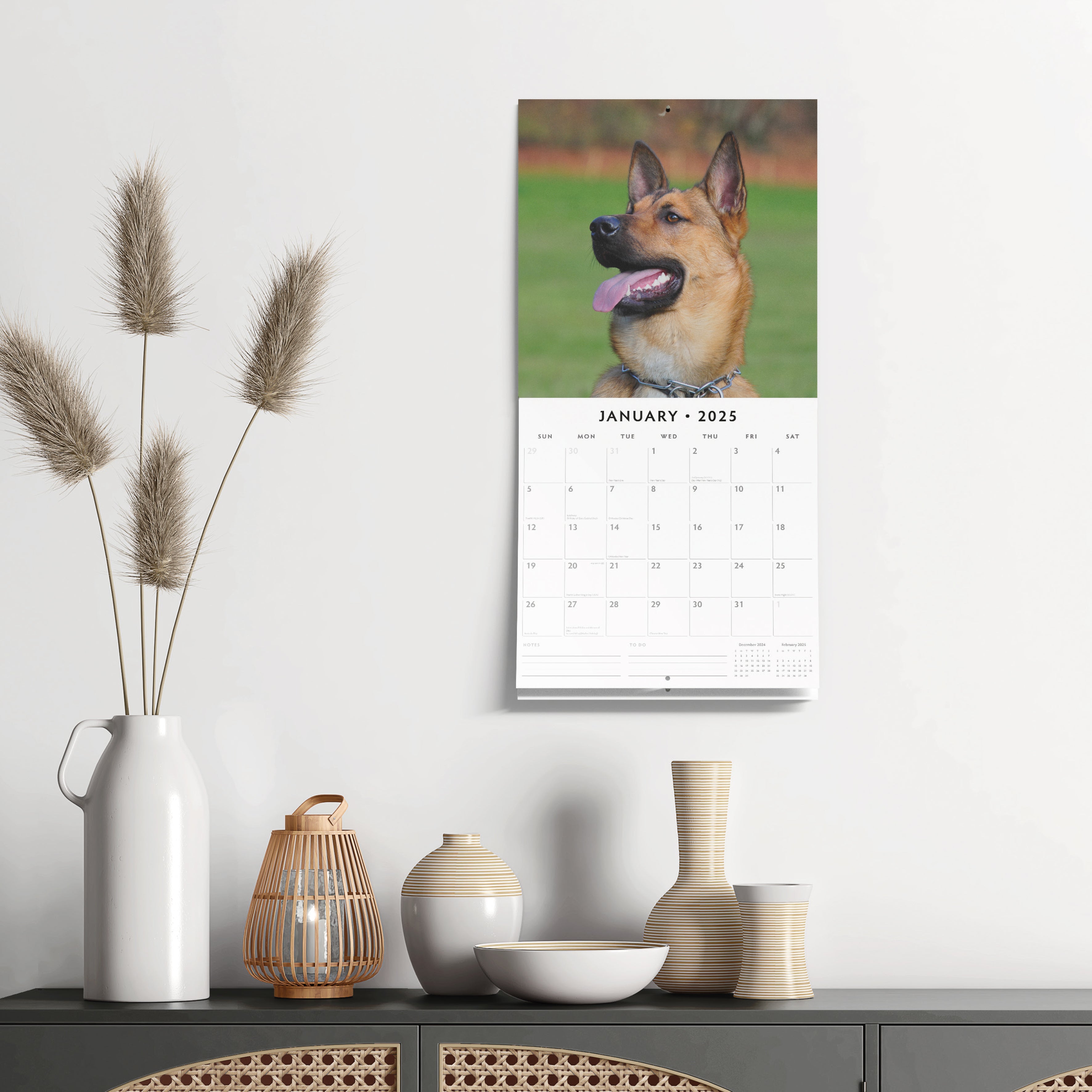 2025 Belgian Shepherd Dogs - Square Wall Calendar