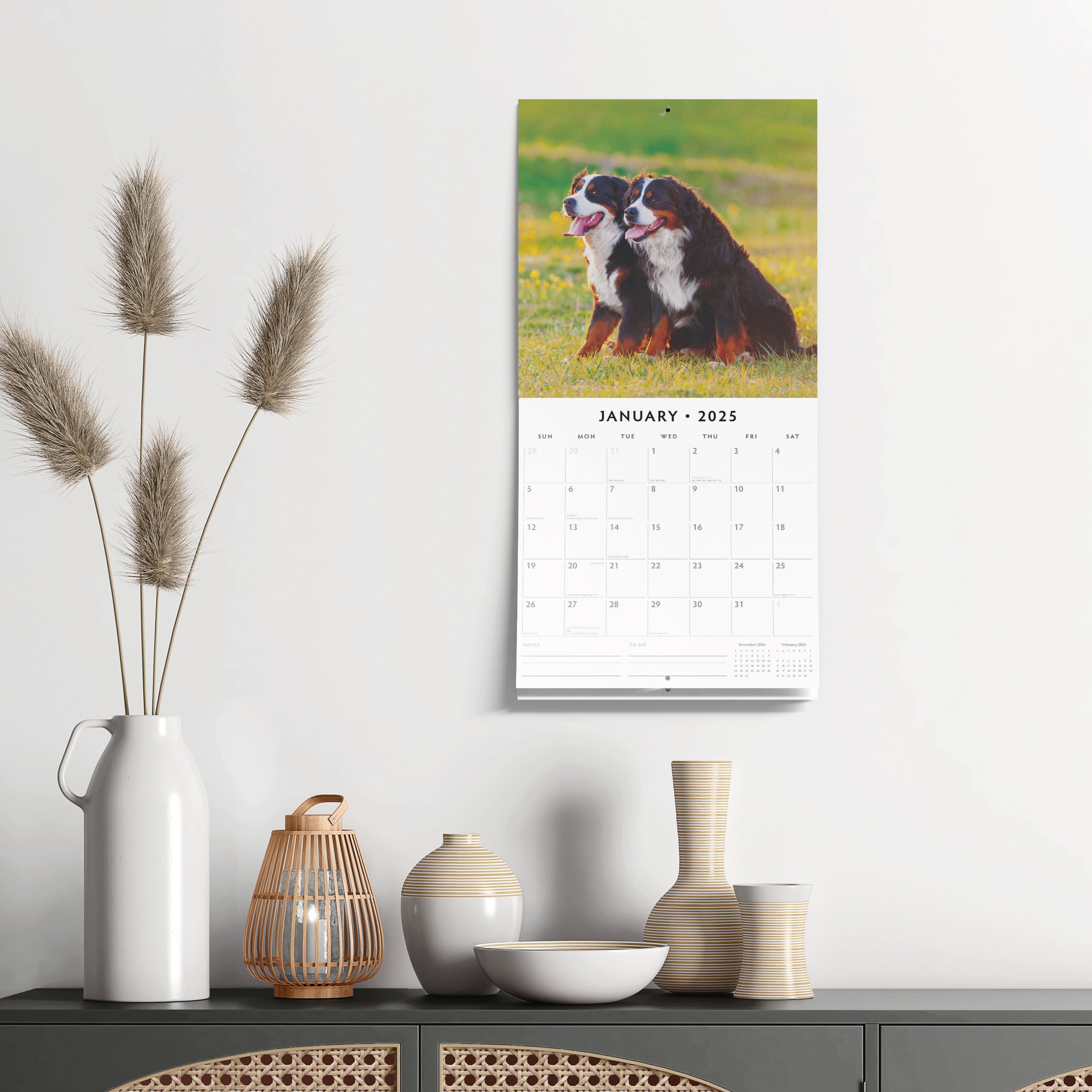 2025 Bernese Mountain Dogs - Square Wall Calendar