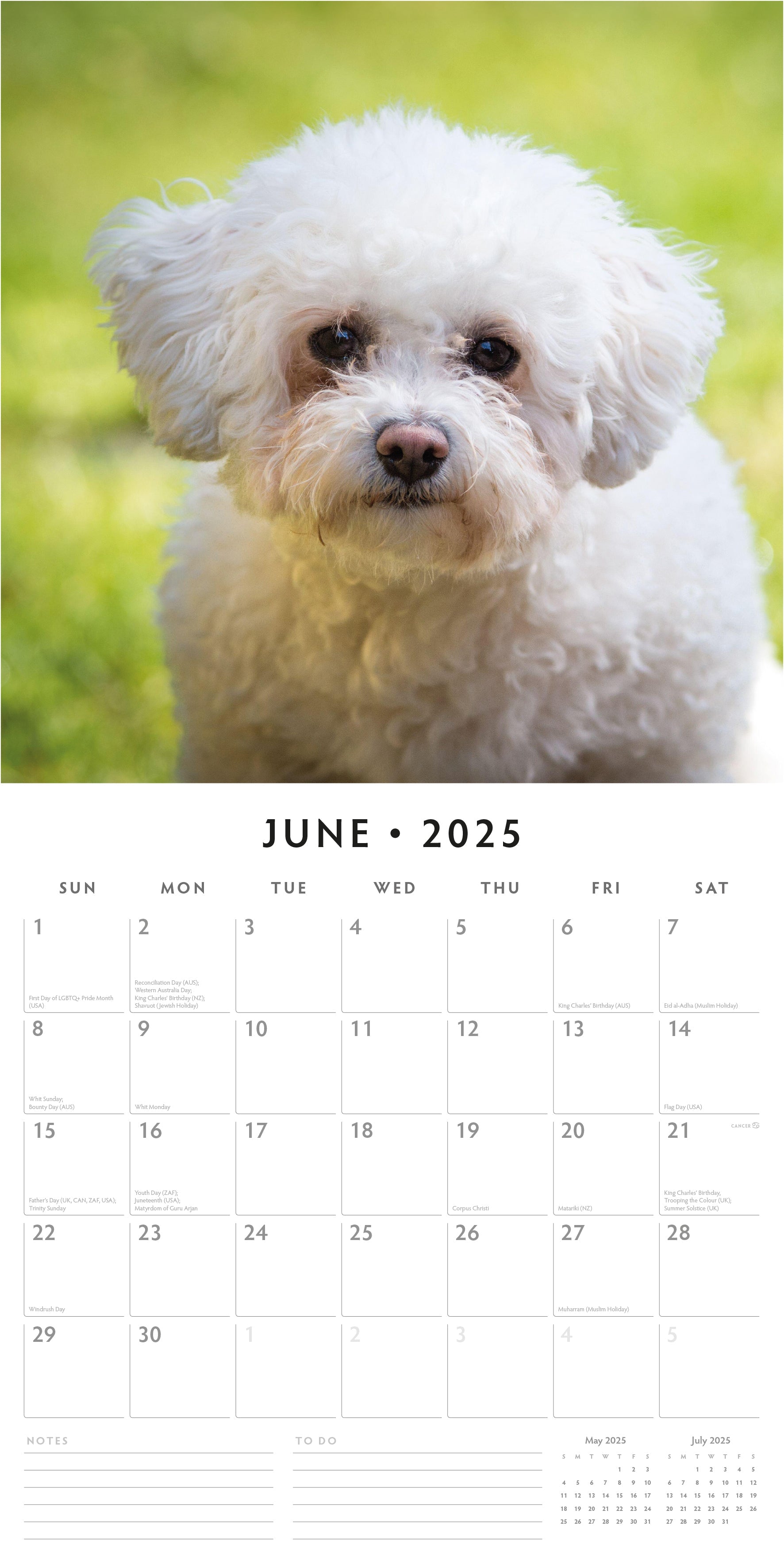 2025 Bichons Frises - Square Wall Calendar