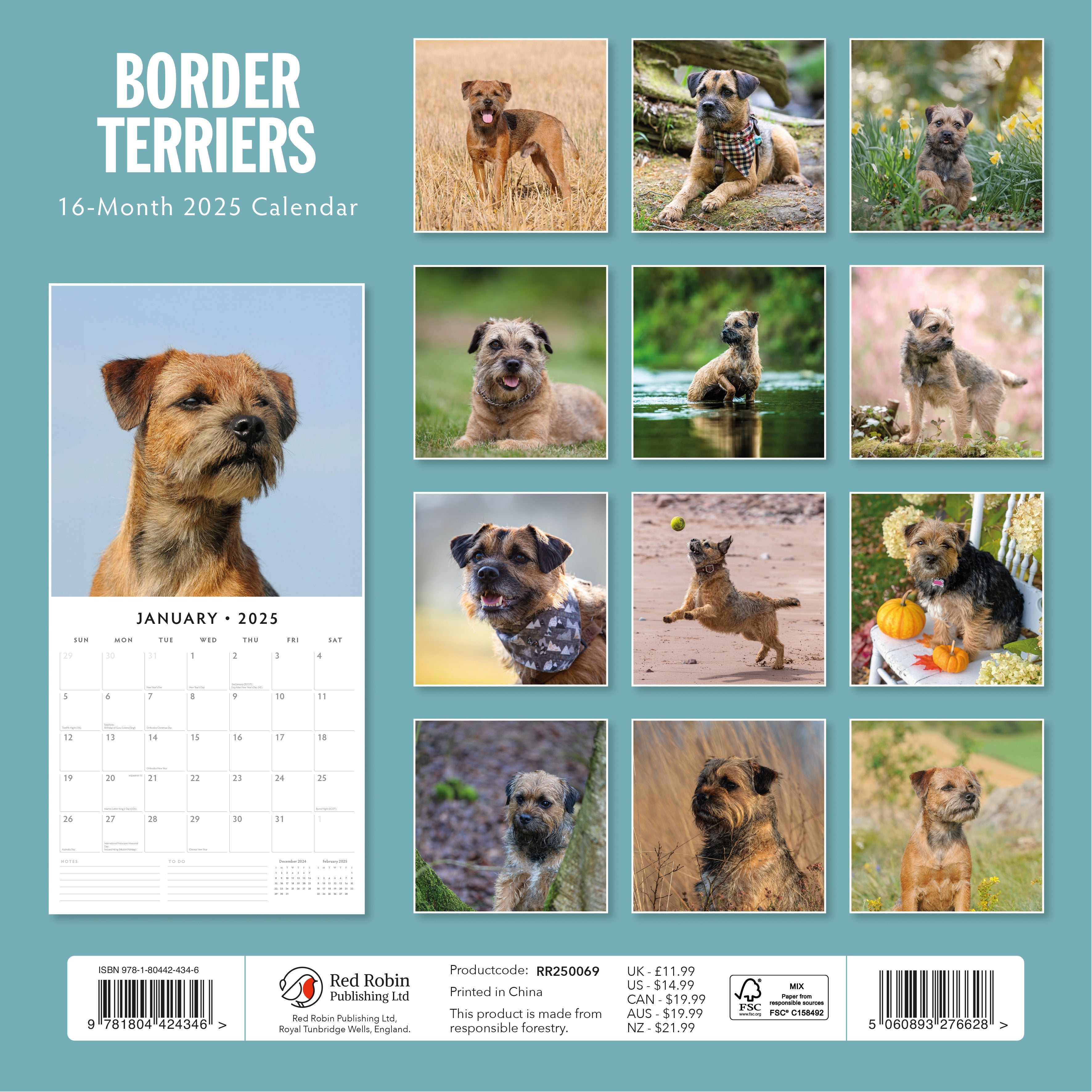 2025 Border Terriers - Square Wall Calendar