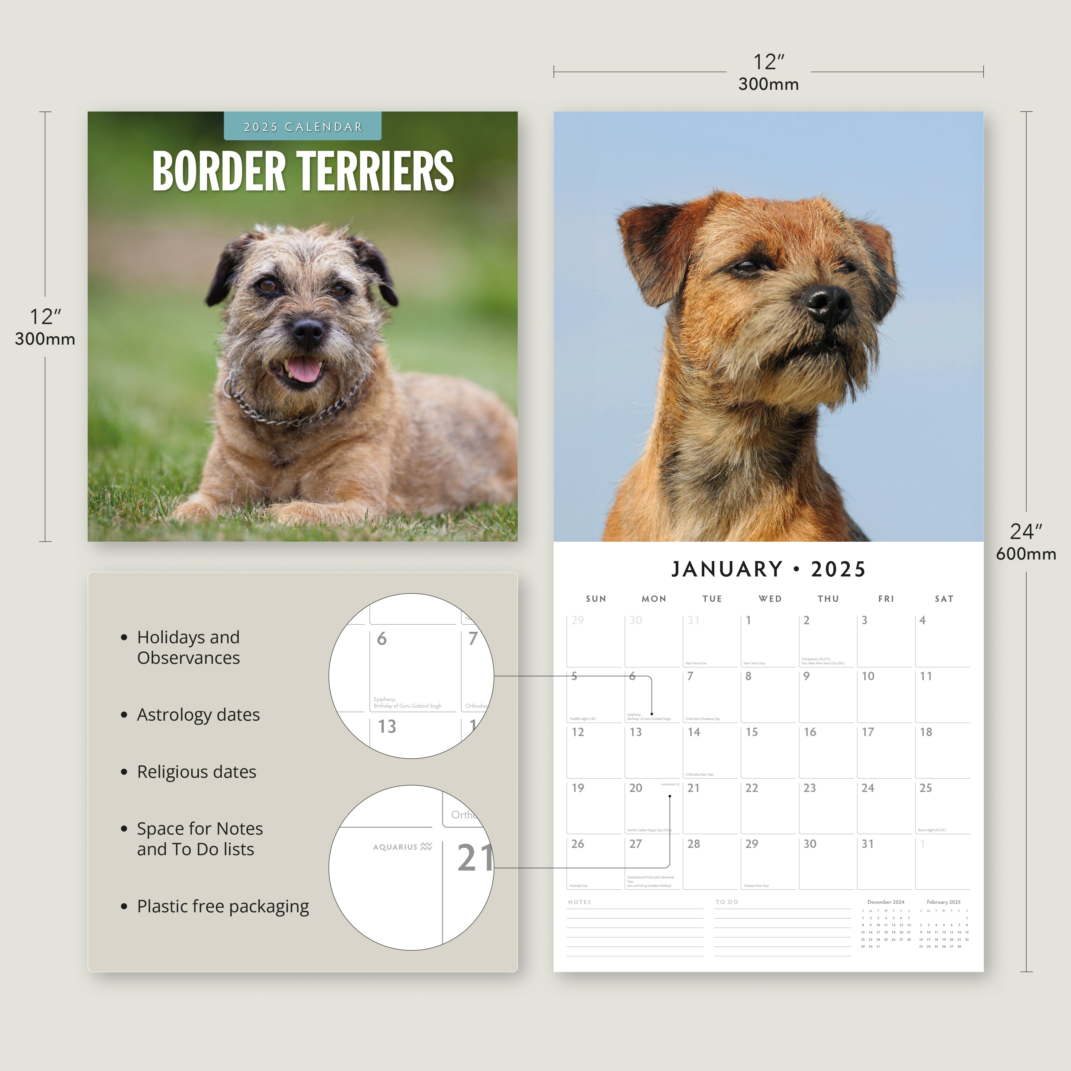 2025 Border Terriers - Square Wall Calendar