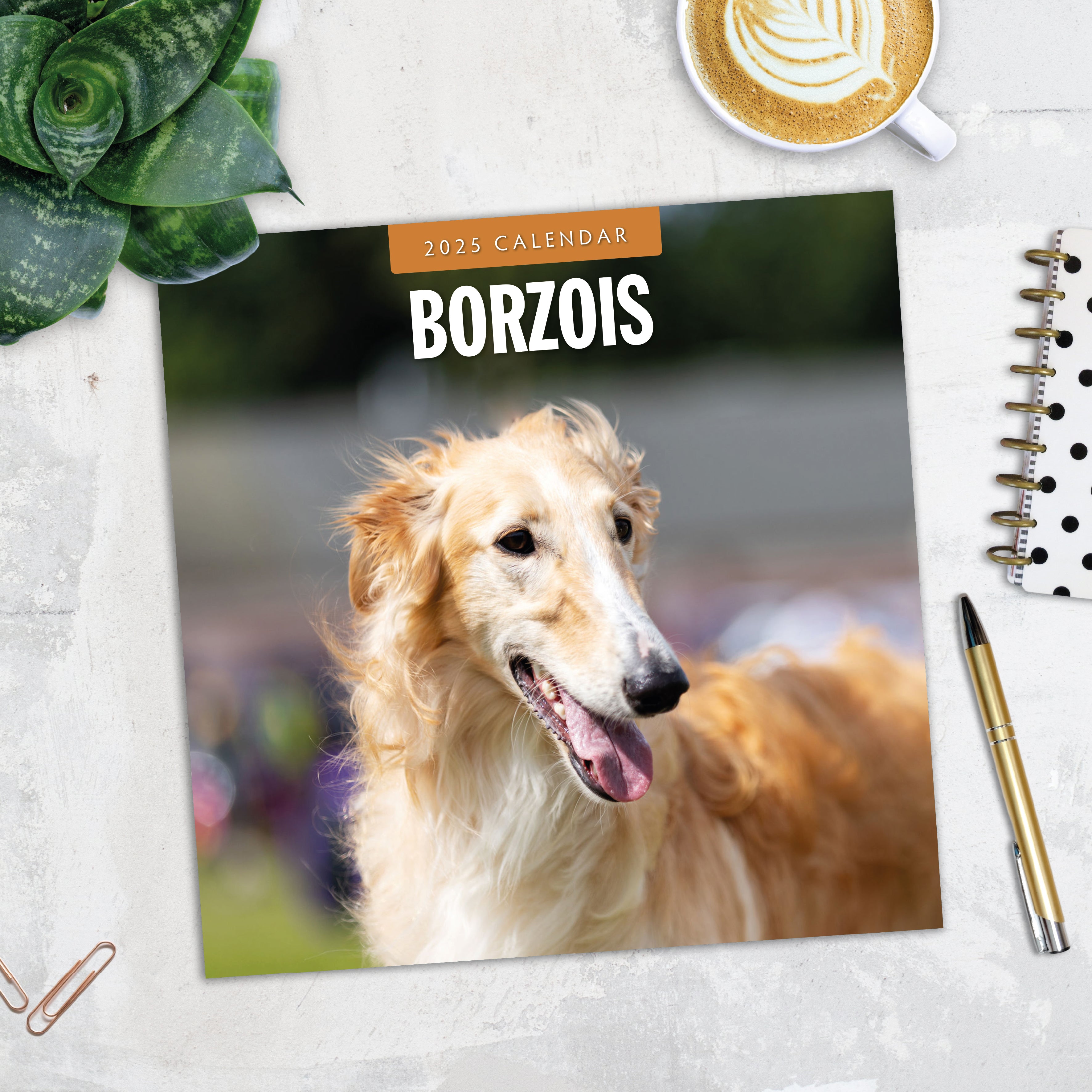 2025 Borzois - Square Wall Calendar