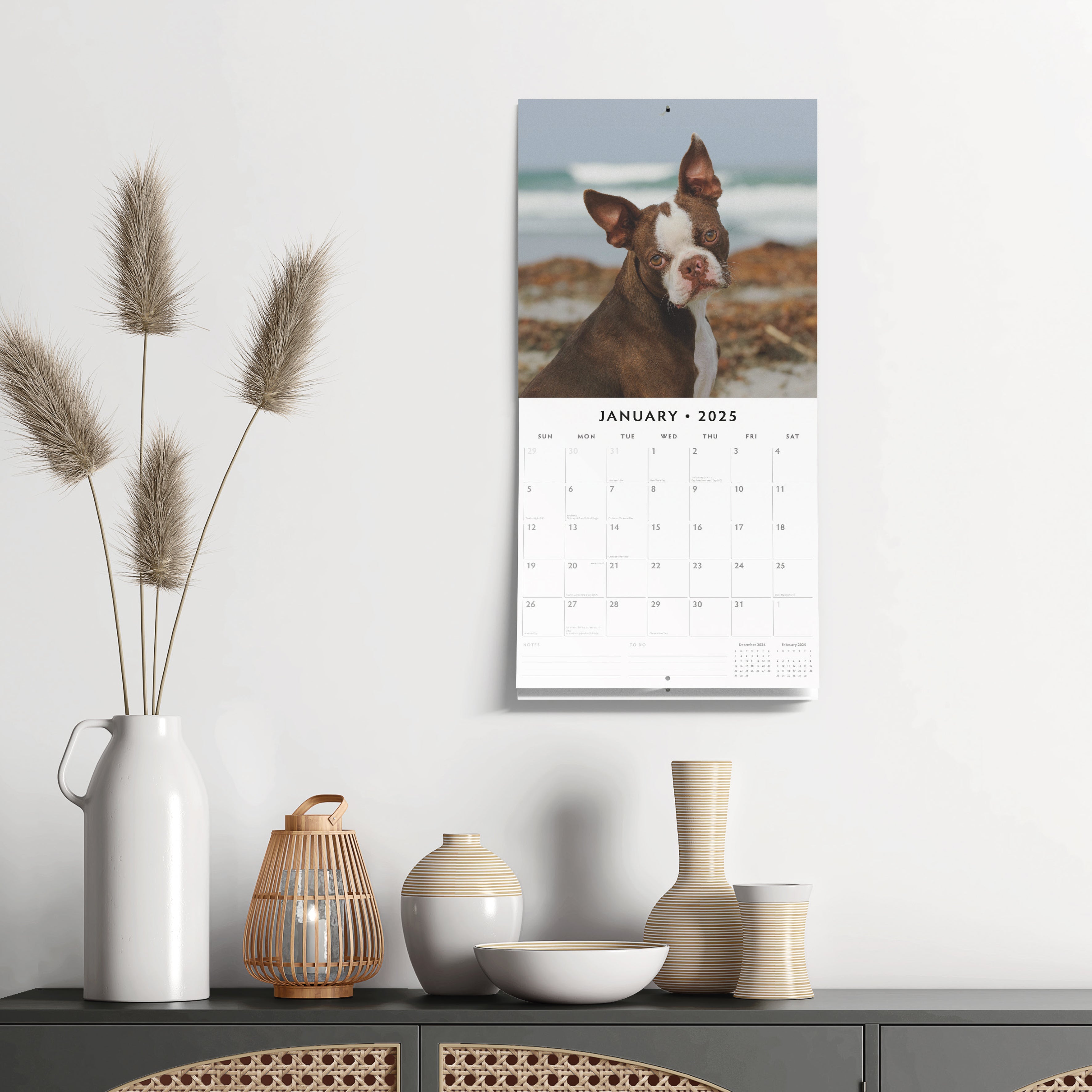 2025 Boston Terriers - Square Wall Calendar