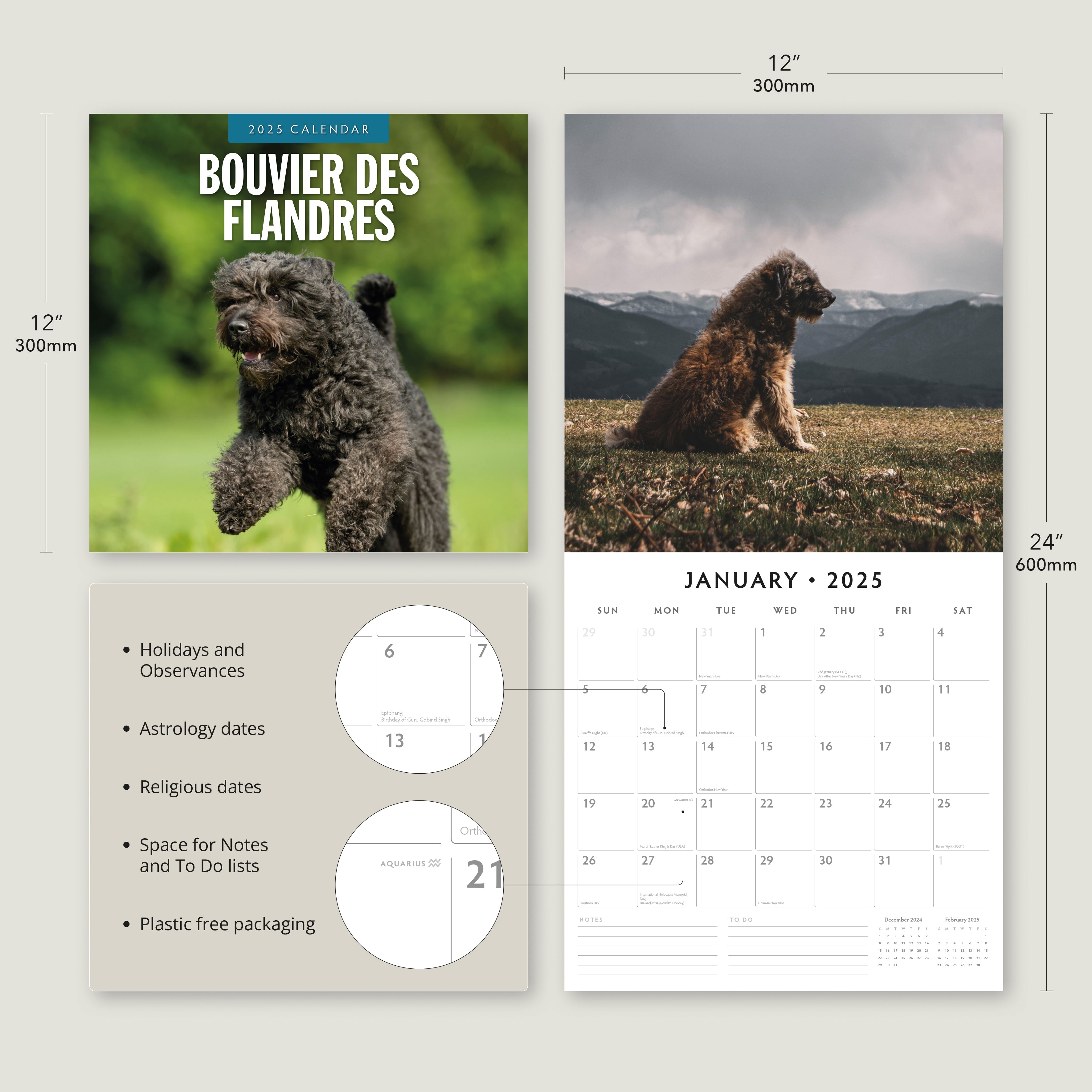 2025 Bouvier des Flandres - Square Wall Calendar