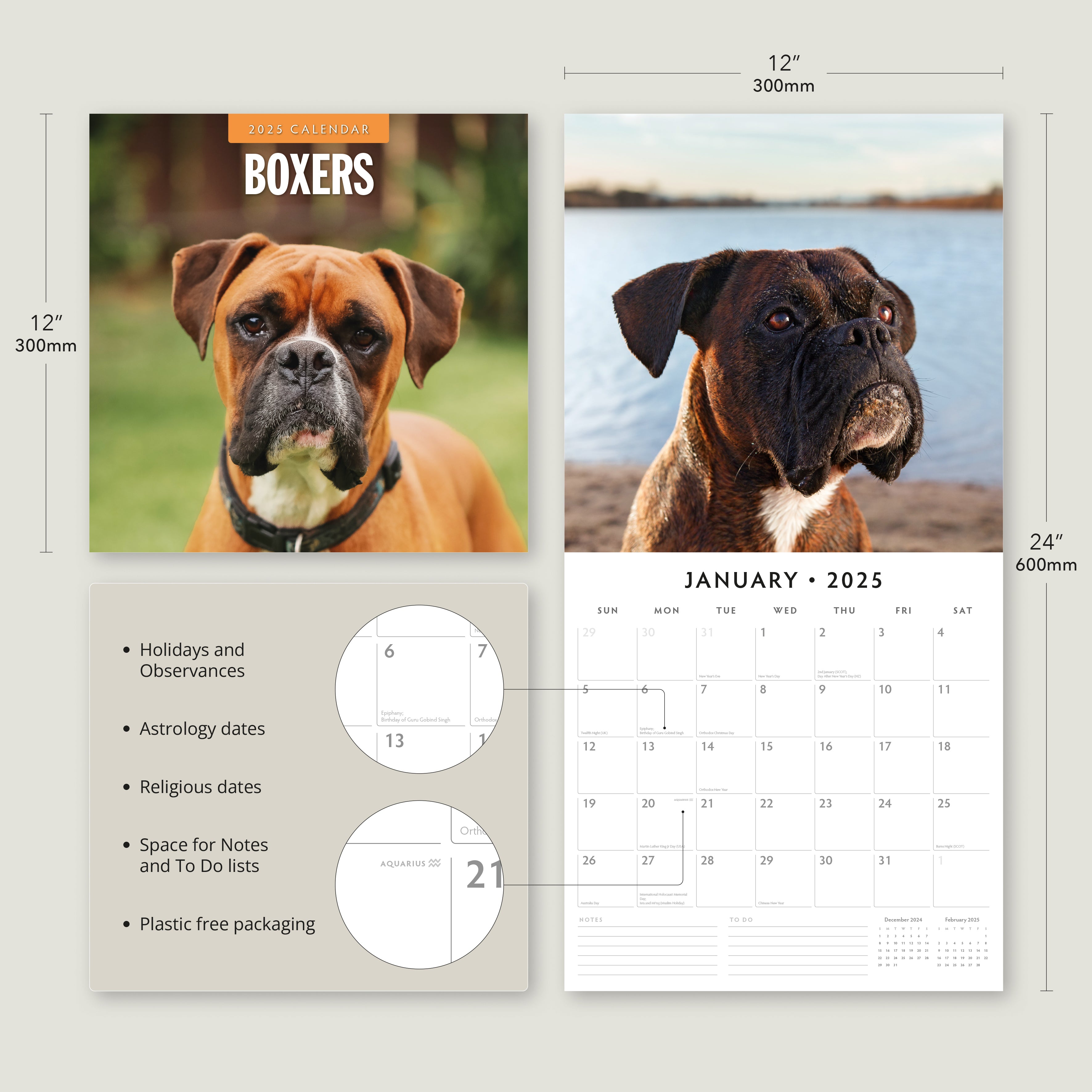 2025 Boxers - Square Wall Calendar