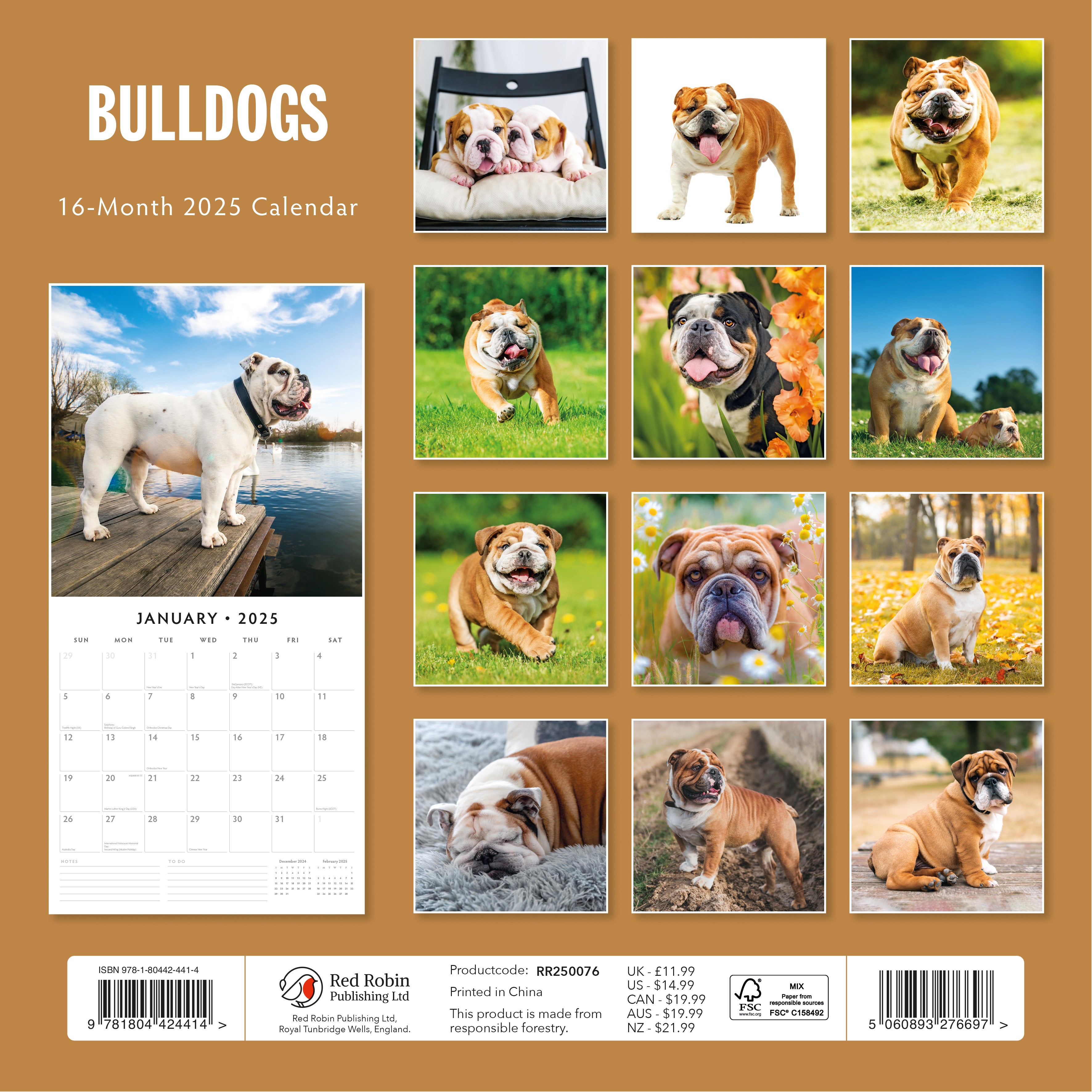 2025 Bulldogs - Square Wall Calendar