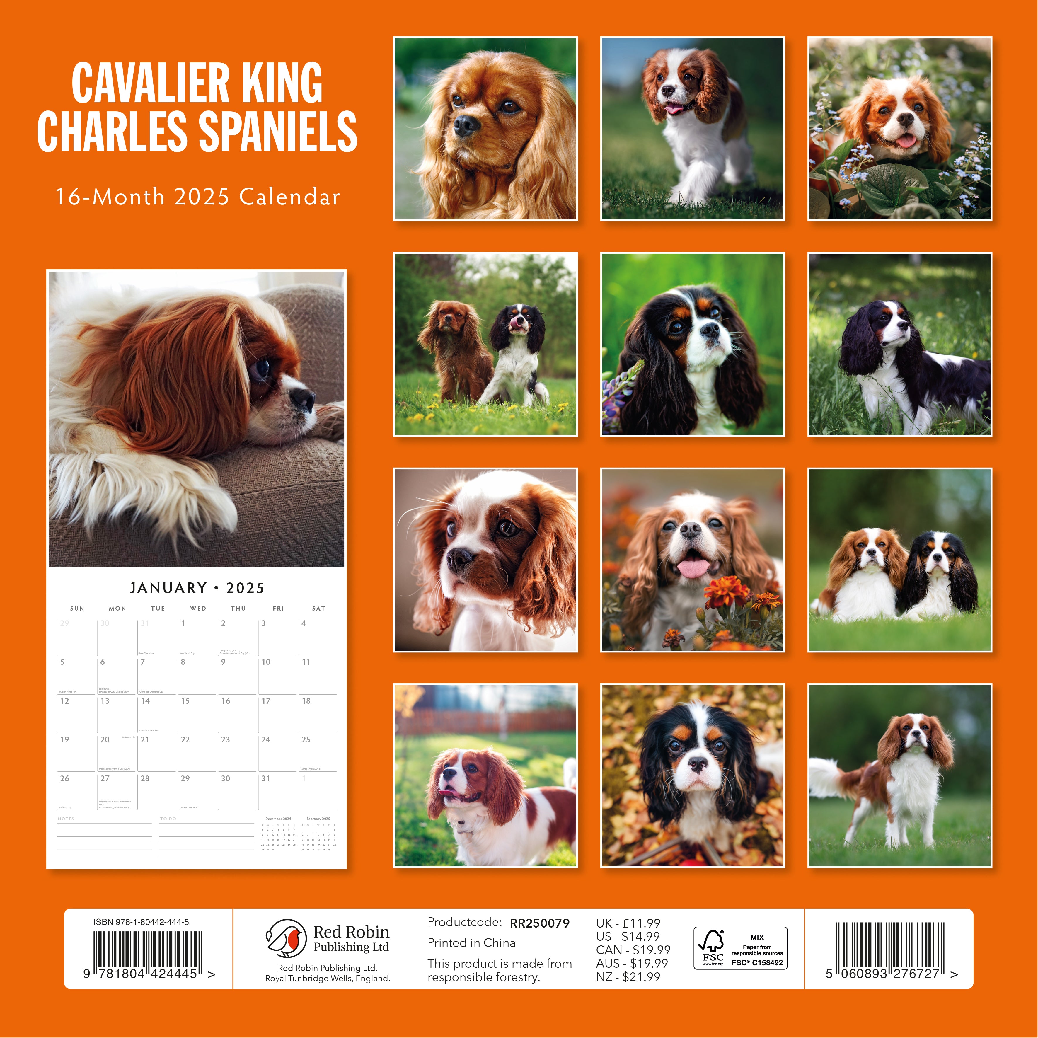 2025 Cavalier King Charles Spaniels - Square Wall Calendar