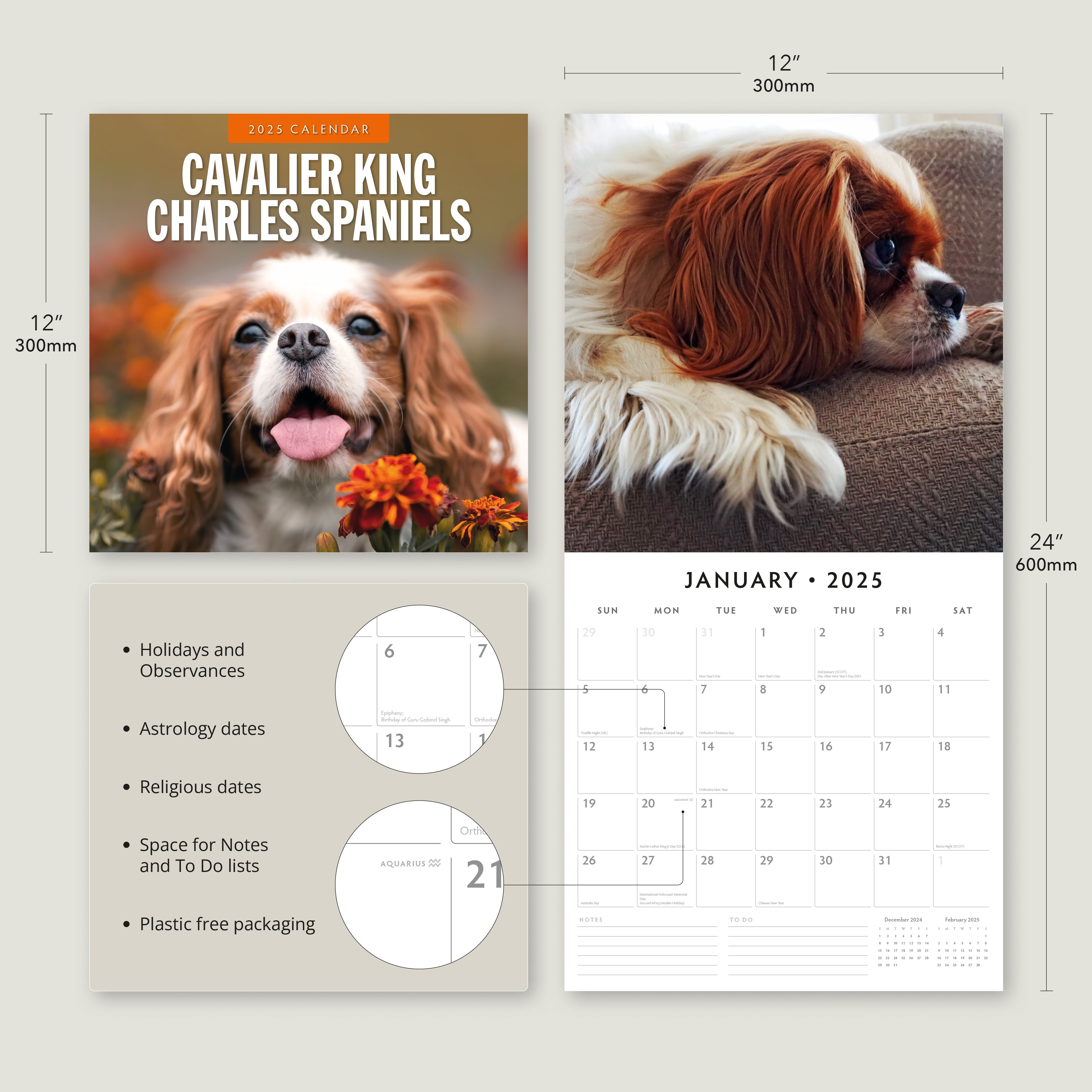 2025 Cavalier King Charles Spaniels - Square Wall Calendar