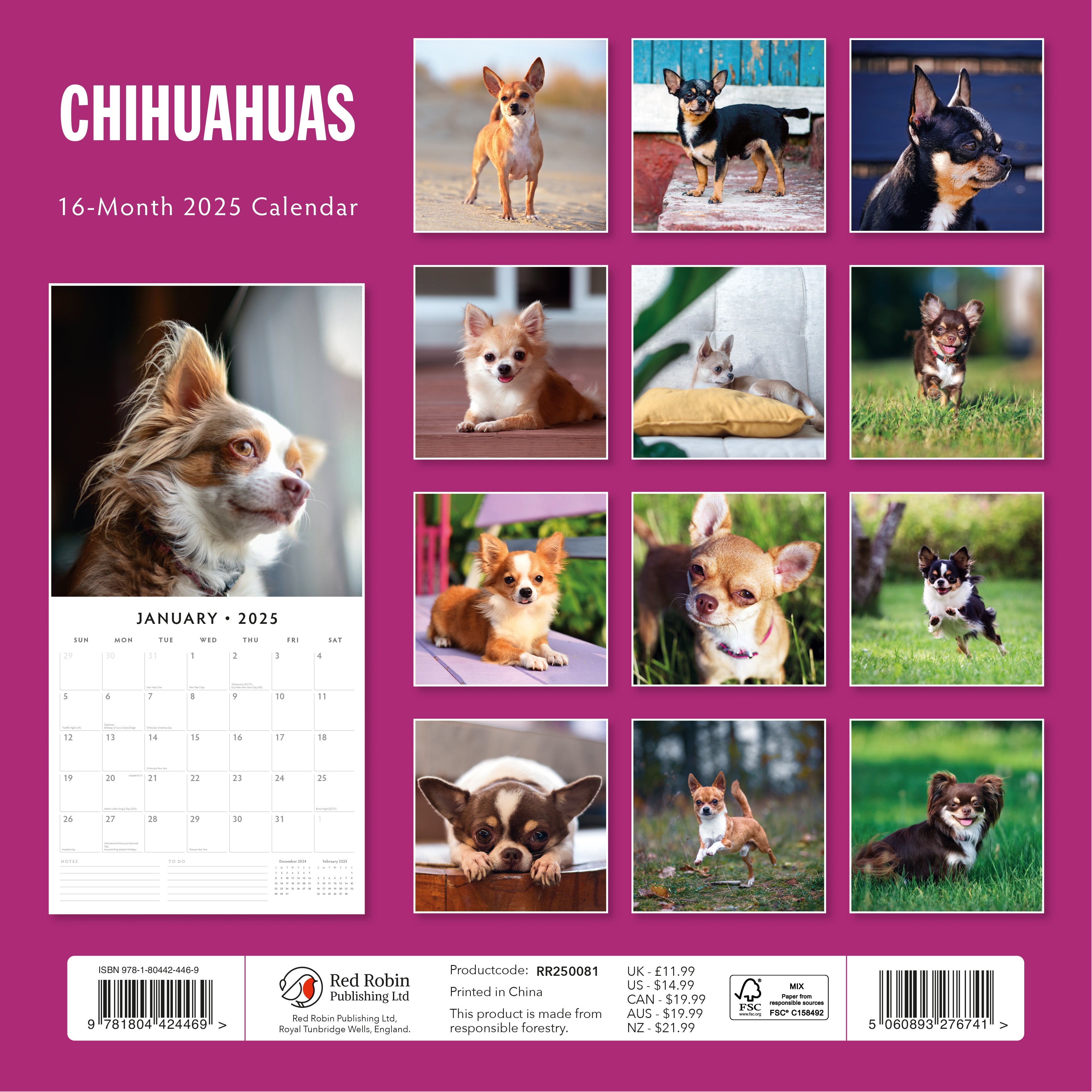 2025 Chihuahuas - Square Wall Calendar