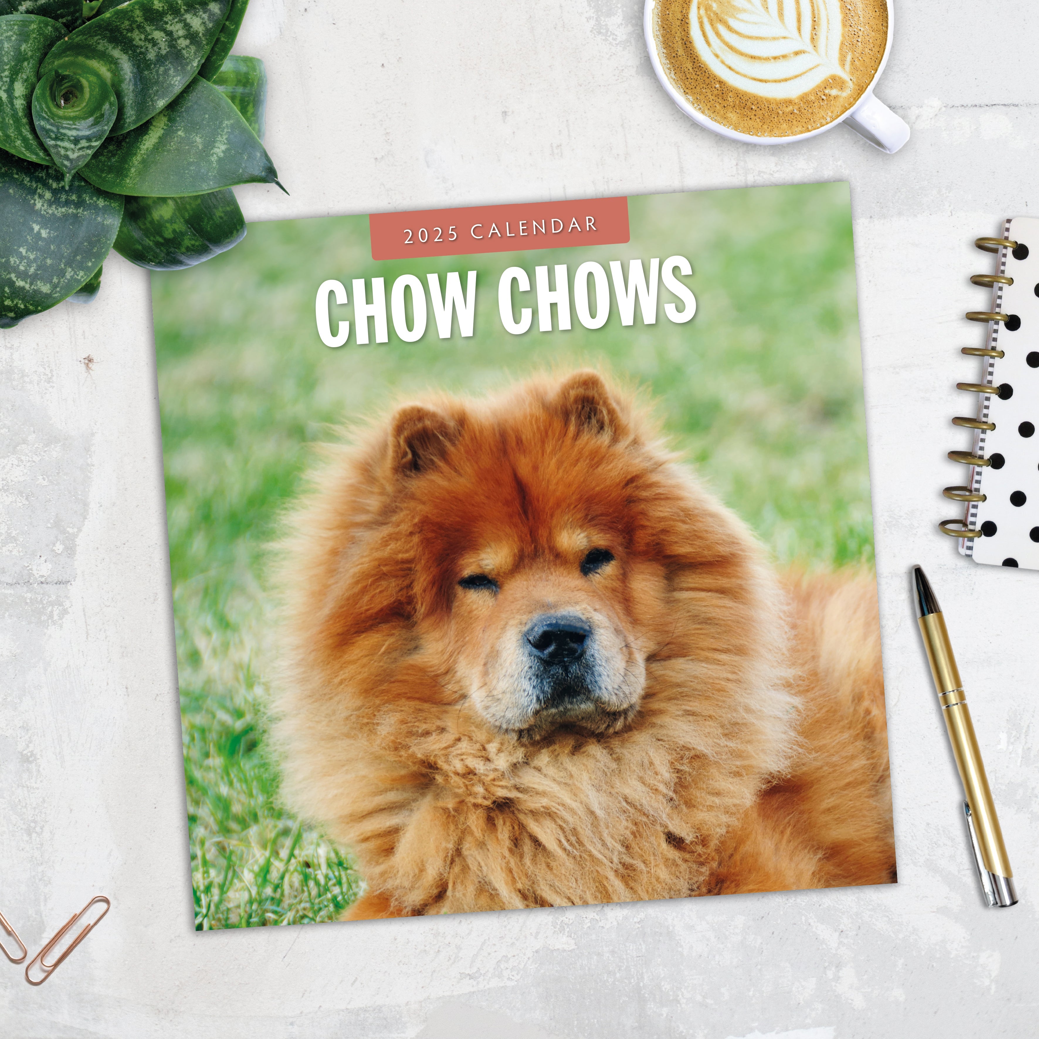 2025 Chow Chows - Square Wall Calendar