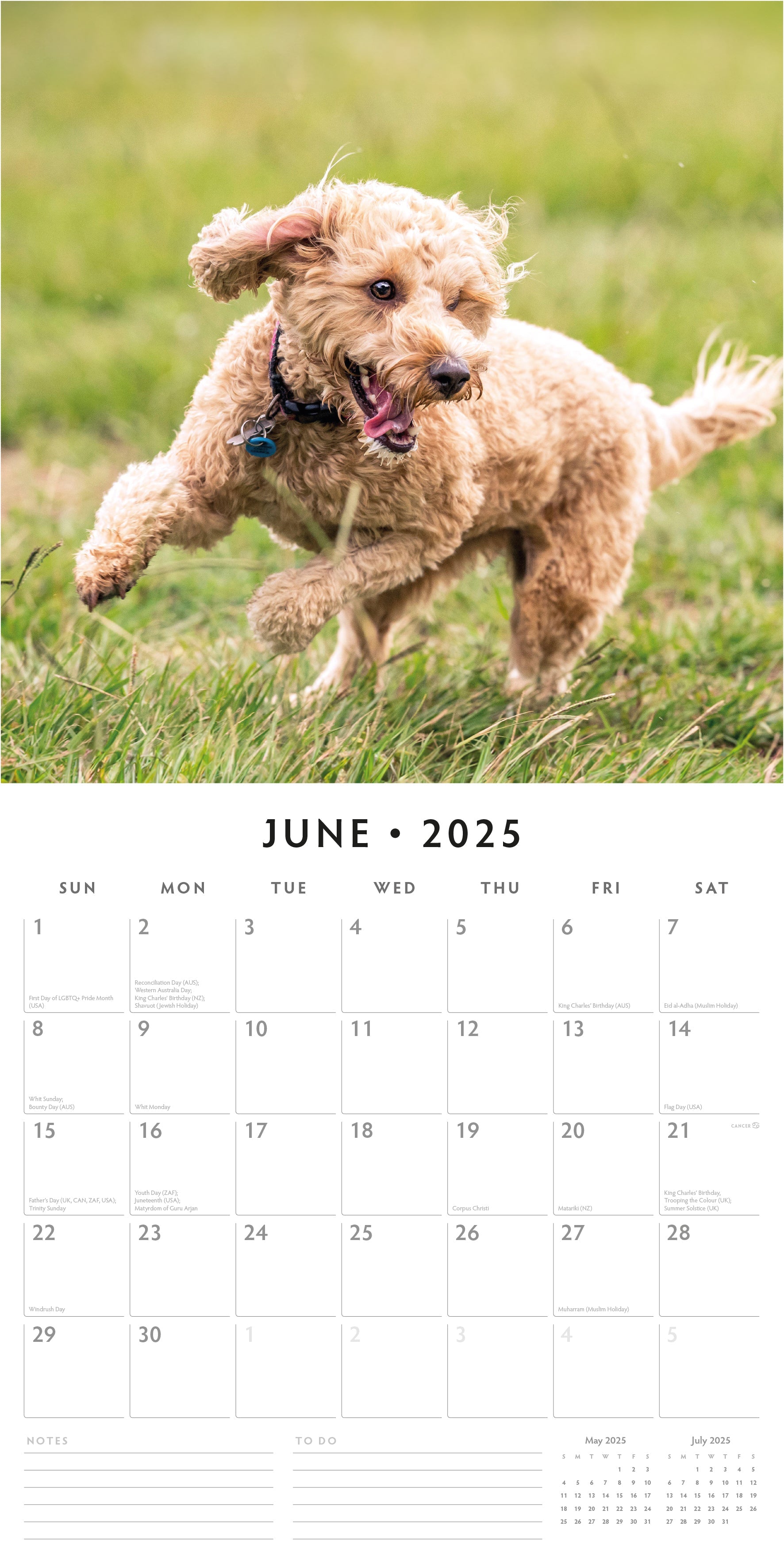 2025 Cockapoos - Square Wall Calendar