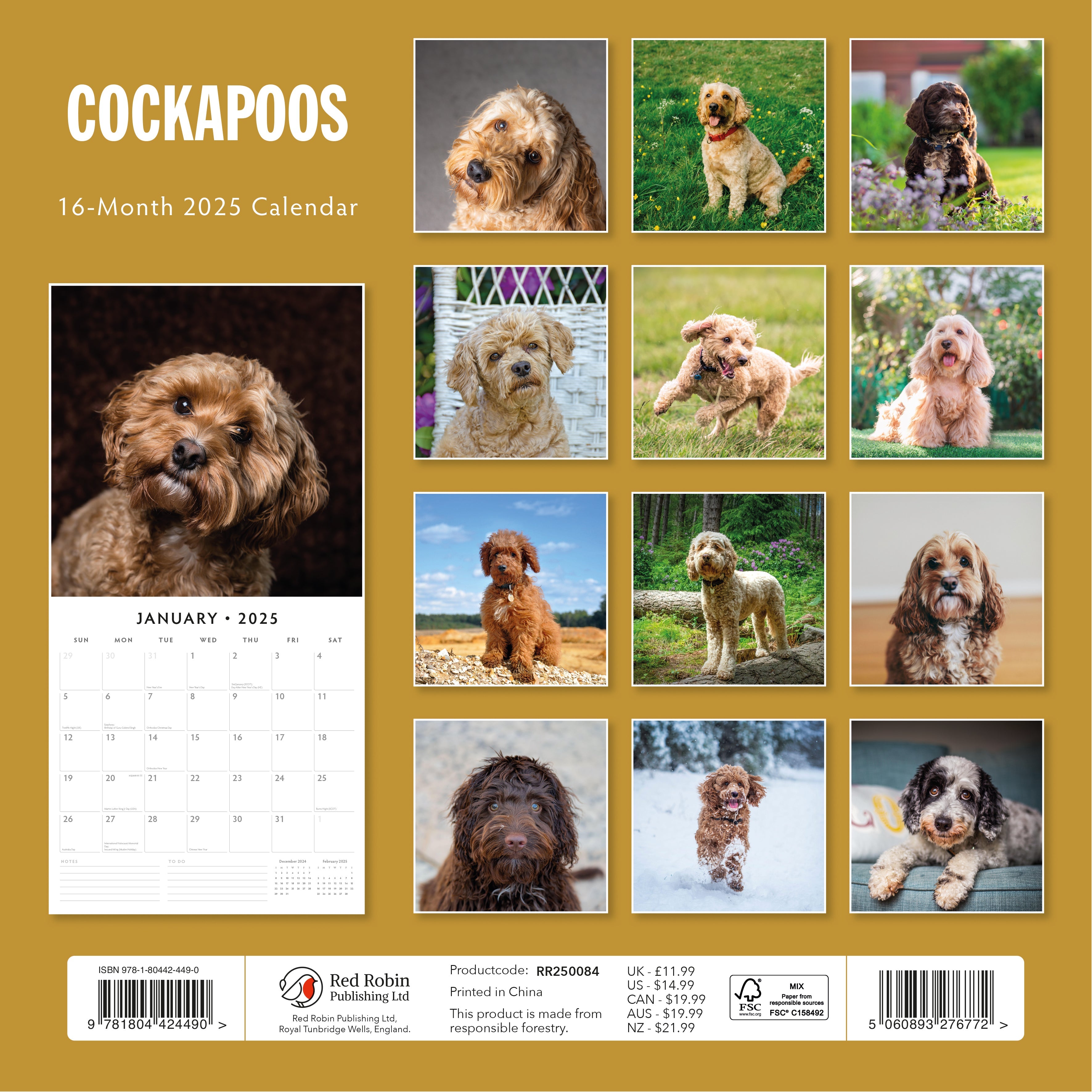 2025 Cockapoos - Square Wall Calendar