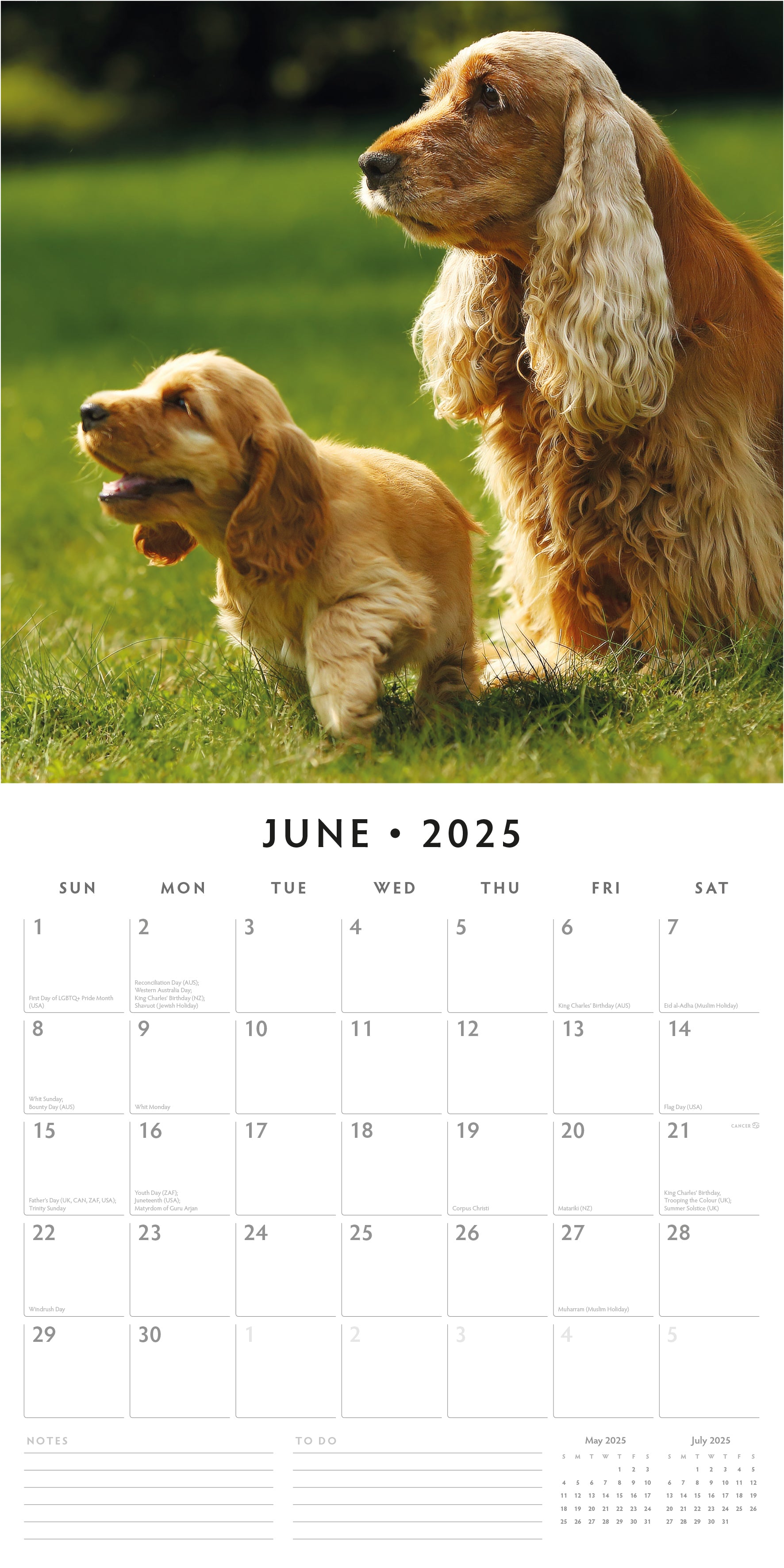 2025 Cocker Spaniels - Square Wall Calendar