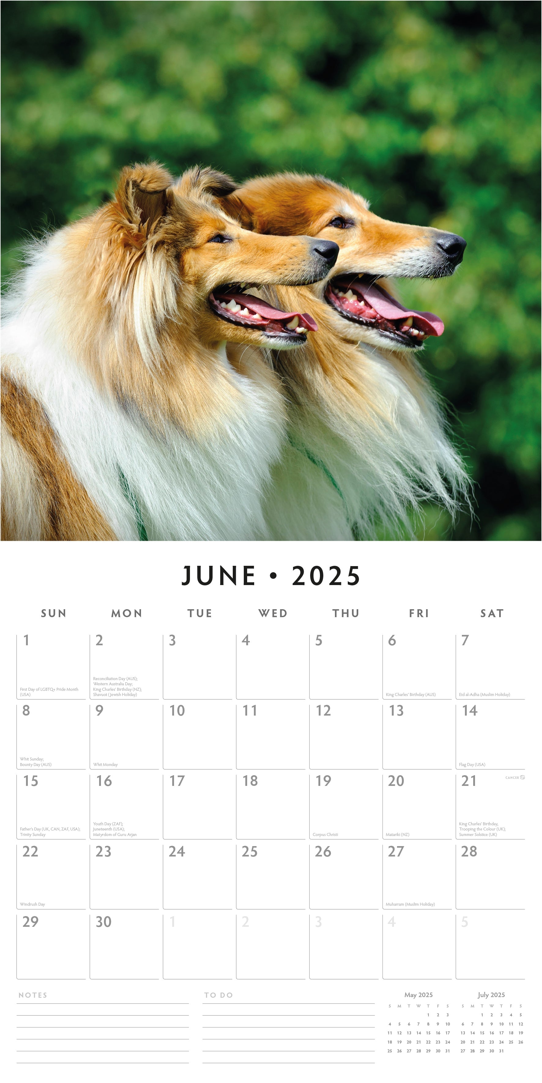 2025 Collies - Square Wall Calendar