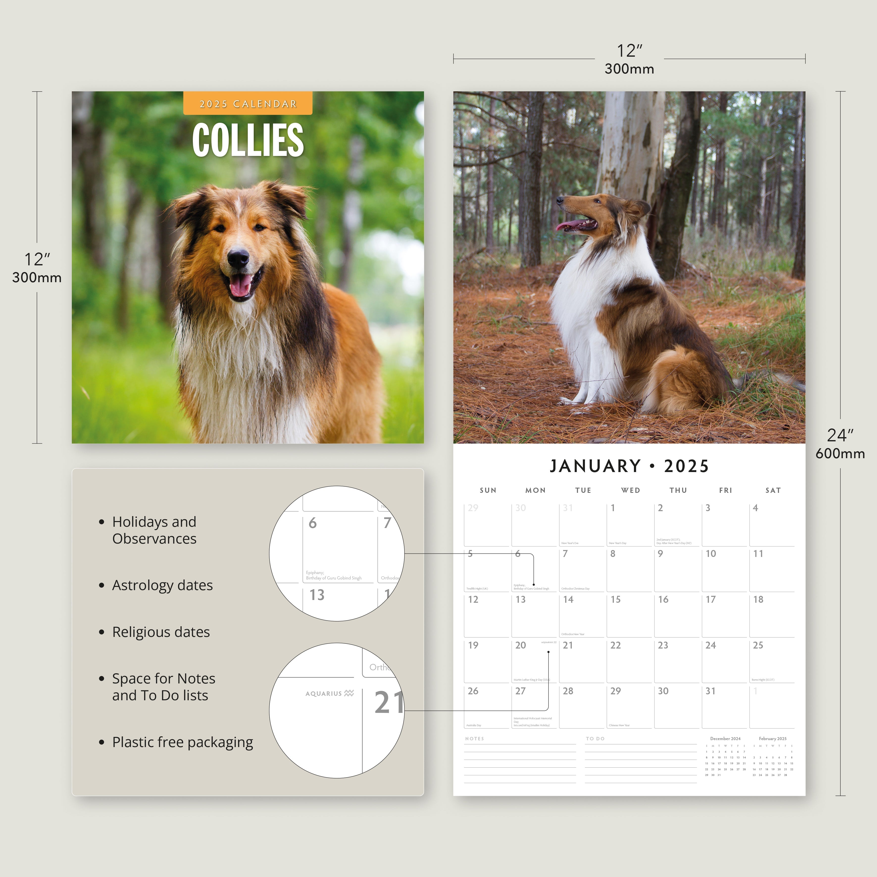 2025 Collies - Square Wall Calendar