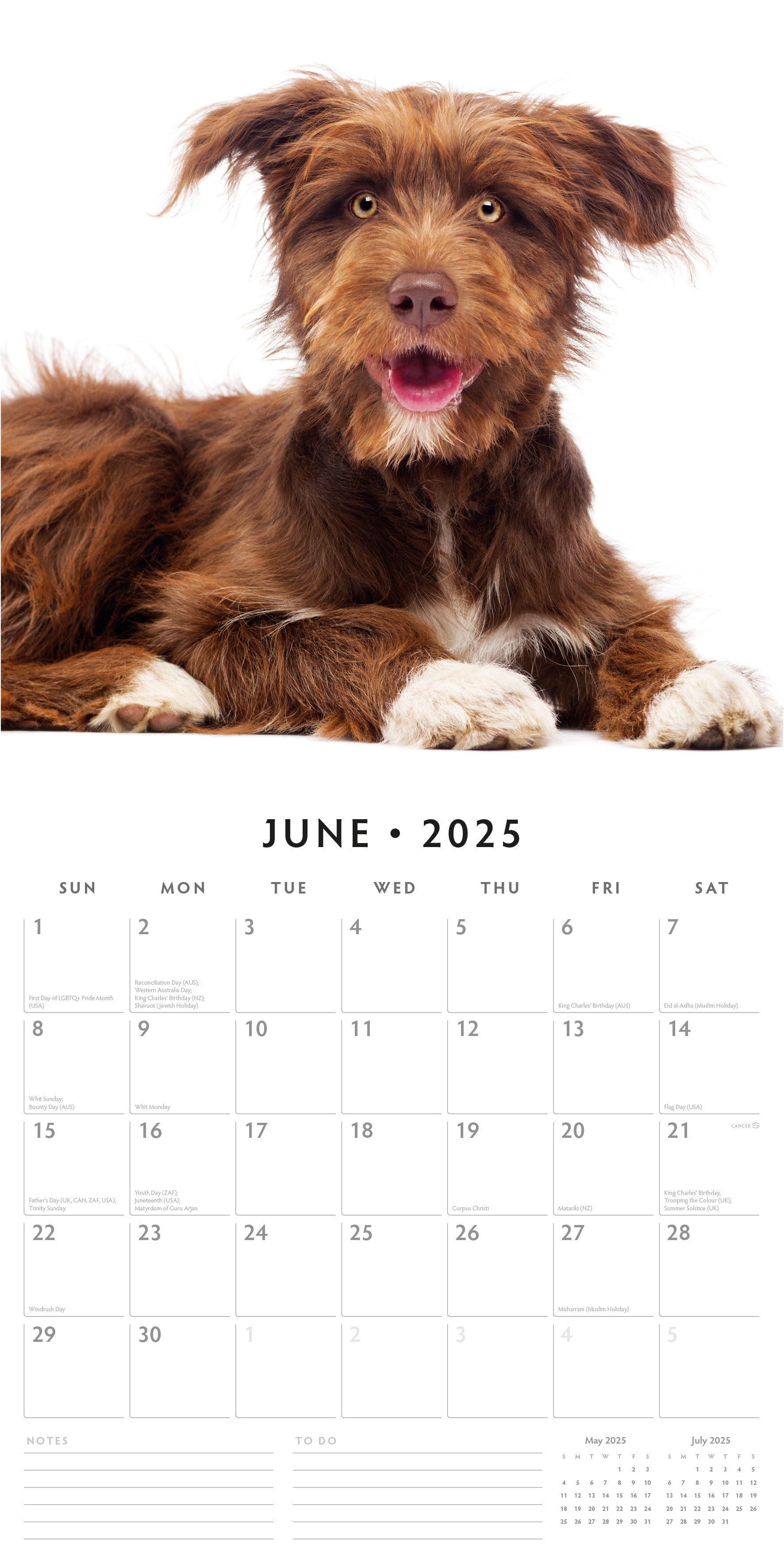 2025 Crossbreeds - Square Wall Calendar