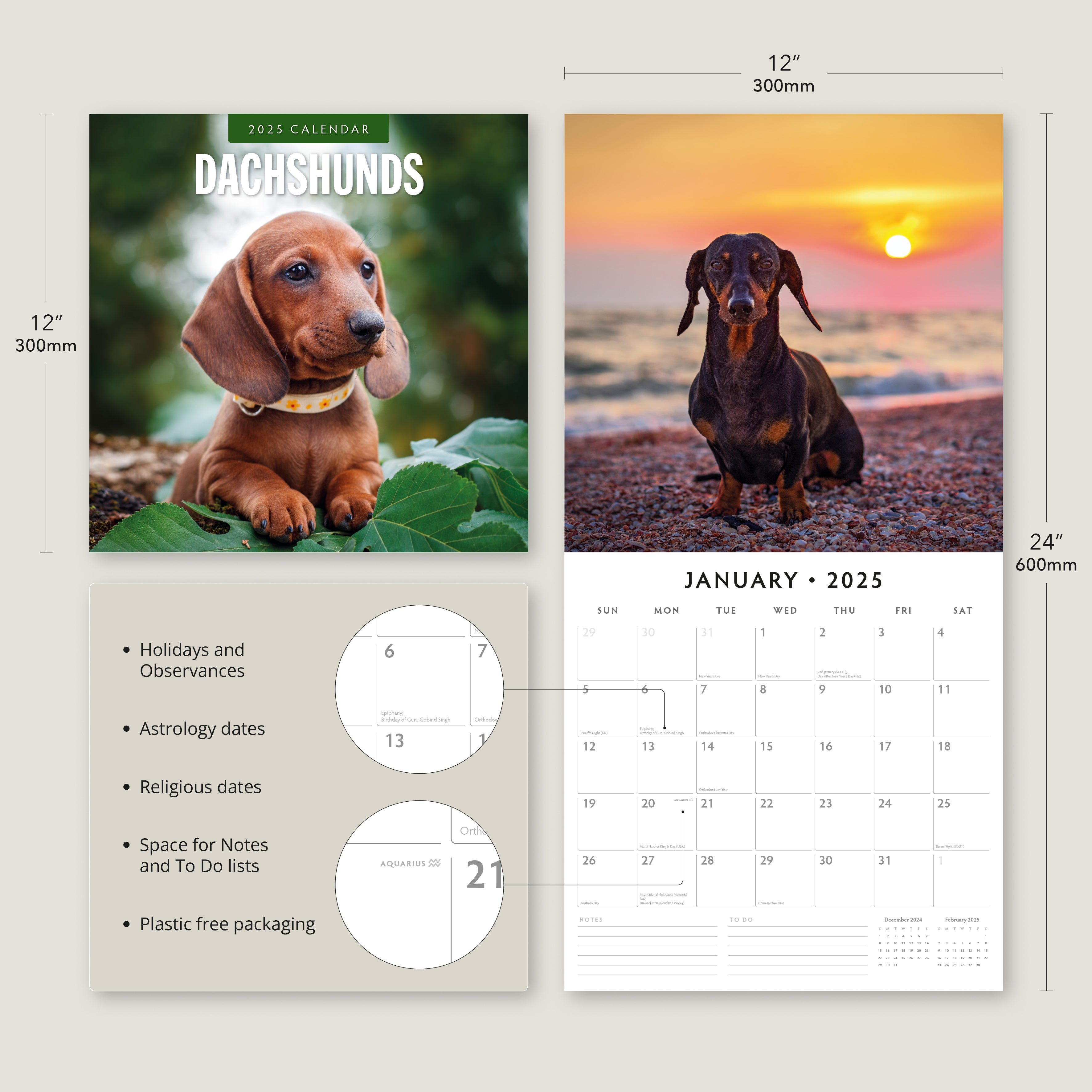 2025 Dachshunds - Square Wall Calendar