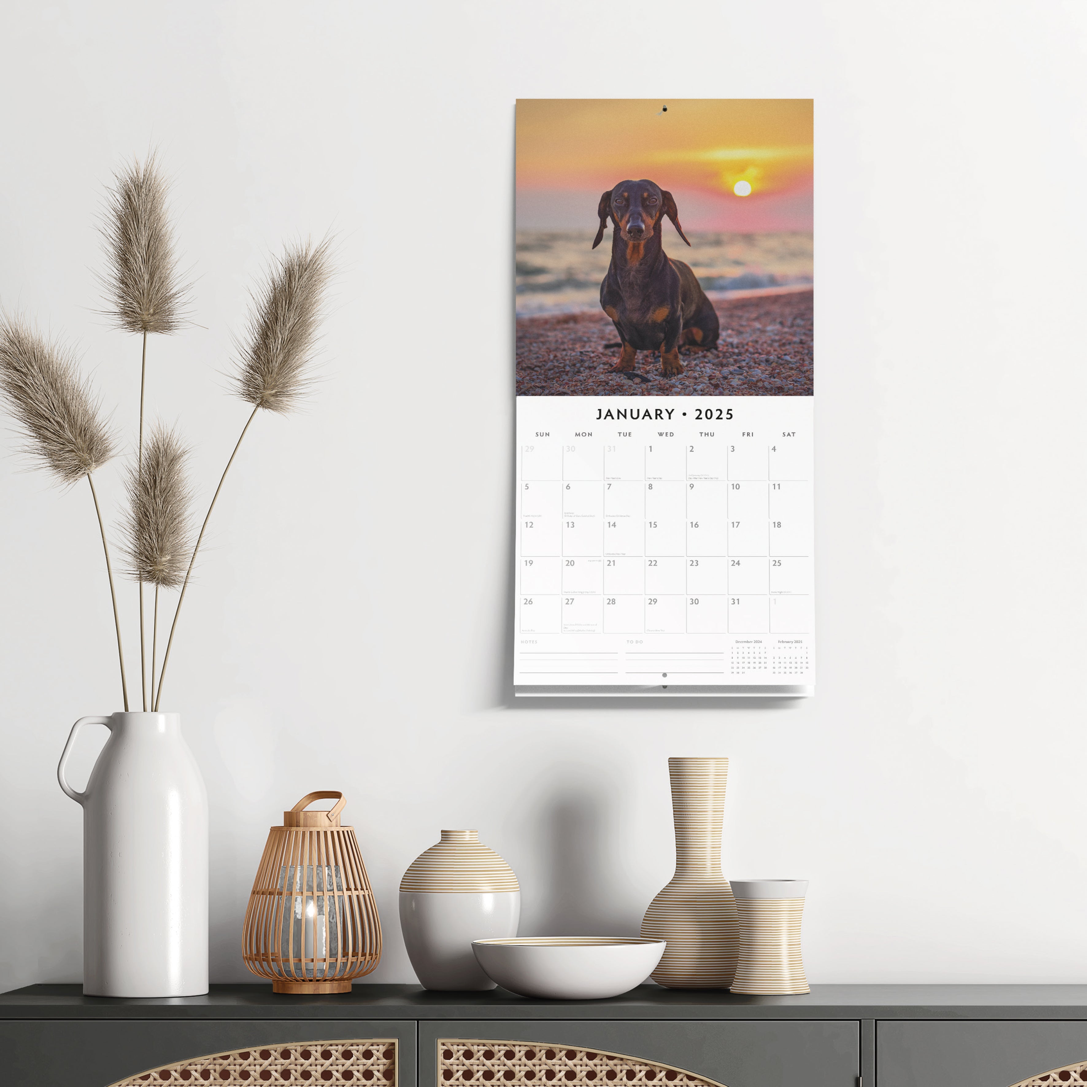 2025 Dachshunds - Square Wall Calendar