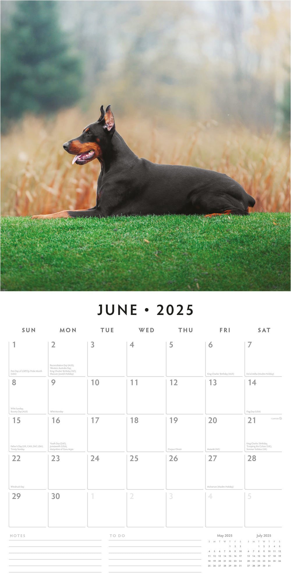 Dogs Calendar 2025 Over 100 Breeds To Choose From