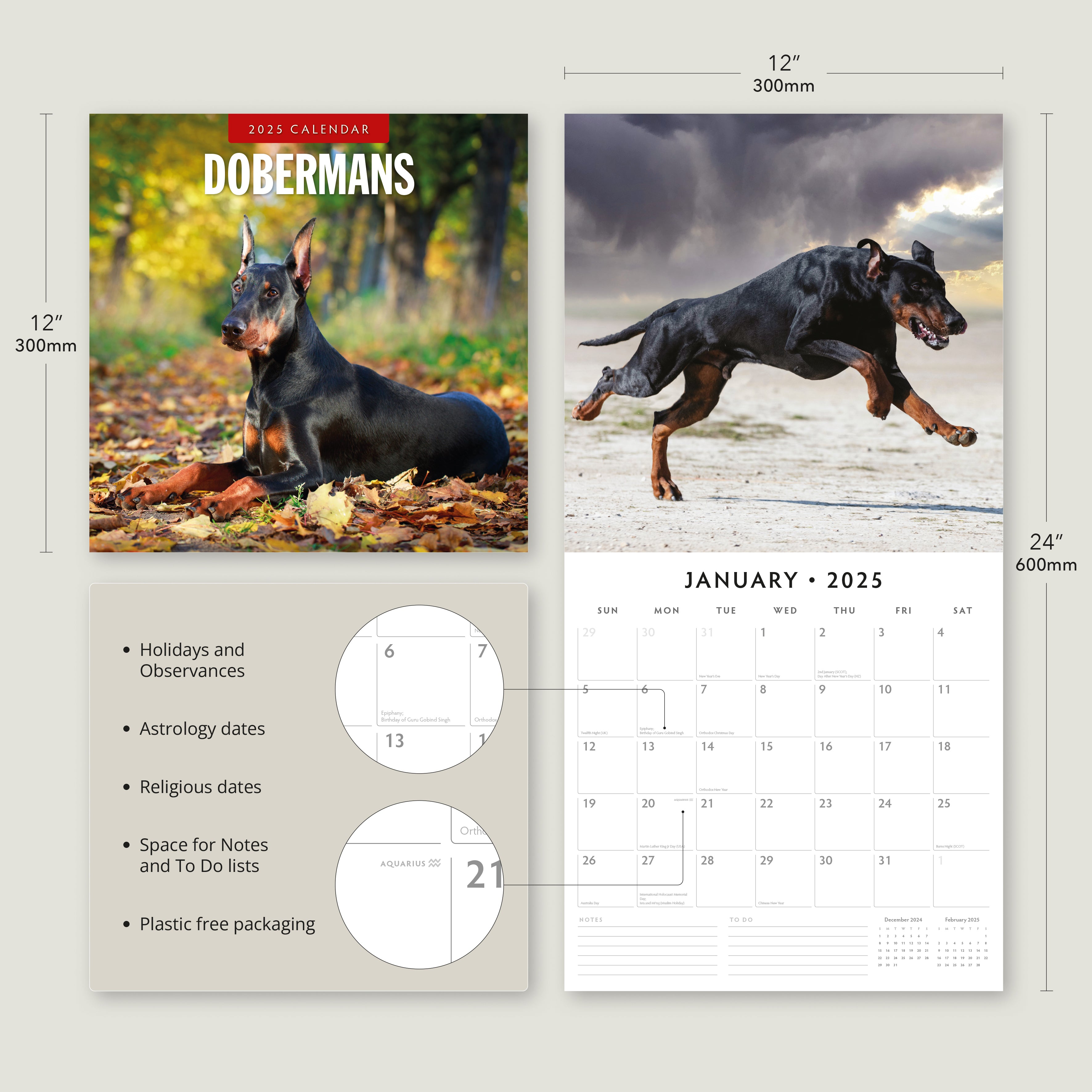 2025 Dobermans - Square Wall Calendar